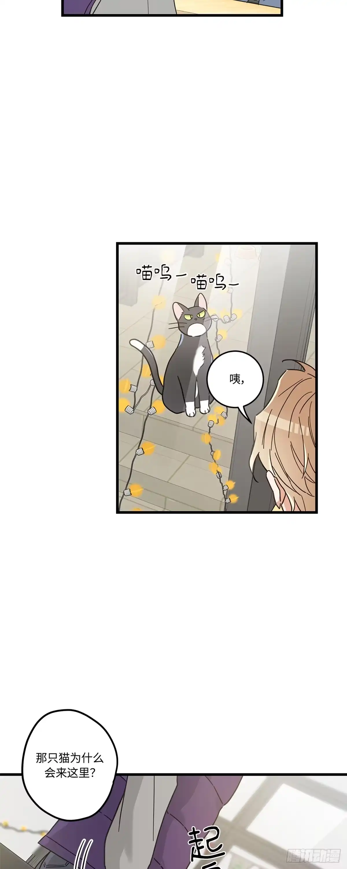 我独一无二的猫咪 第24话 第30页