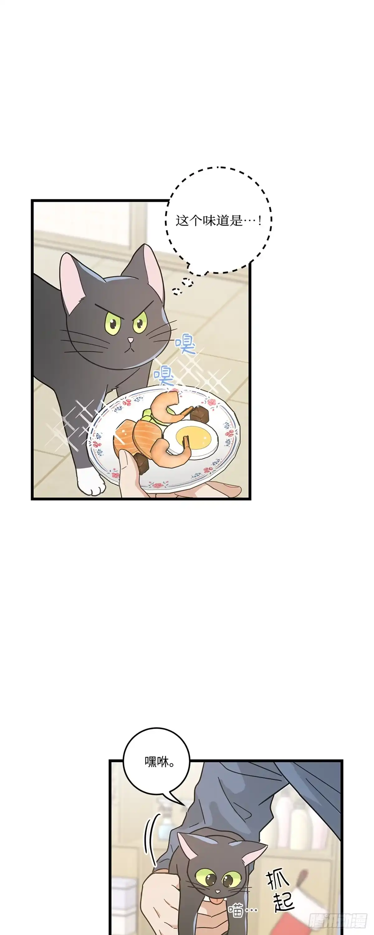 我独一无二的猫咪 第24话 第35页