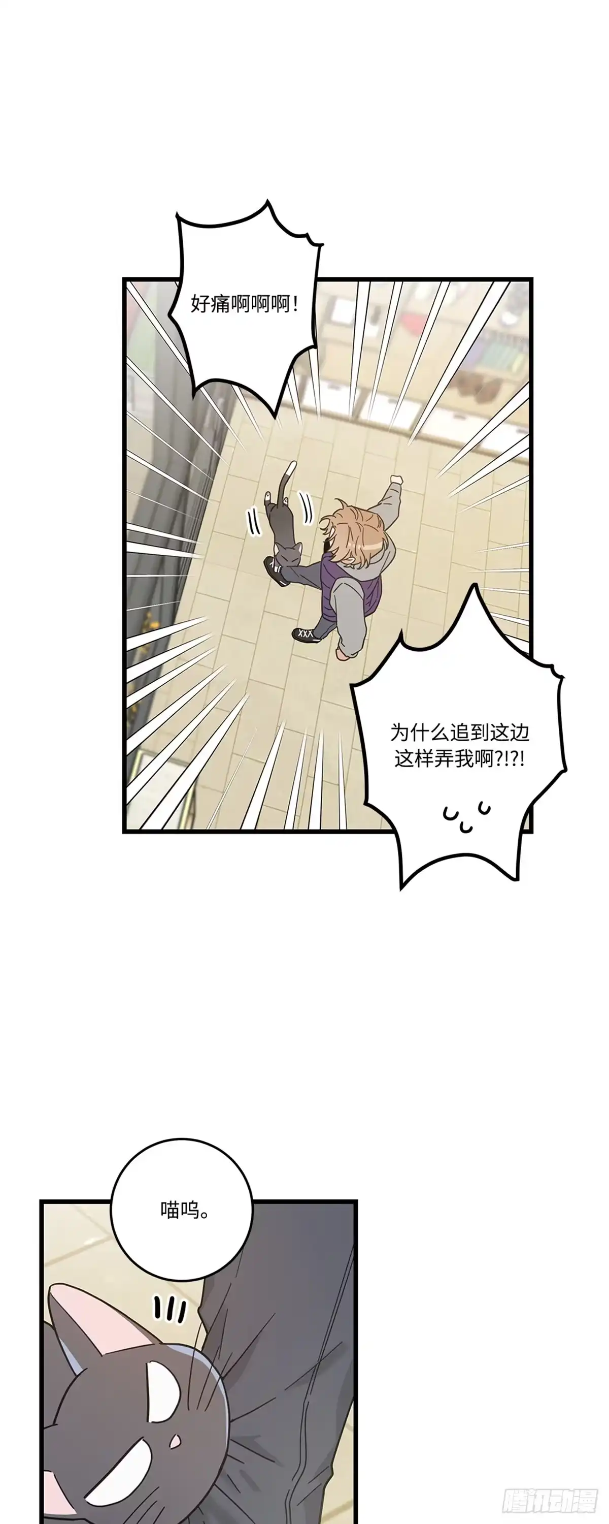 我独一无二的猫咪 第24话 第33页