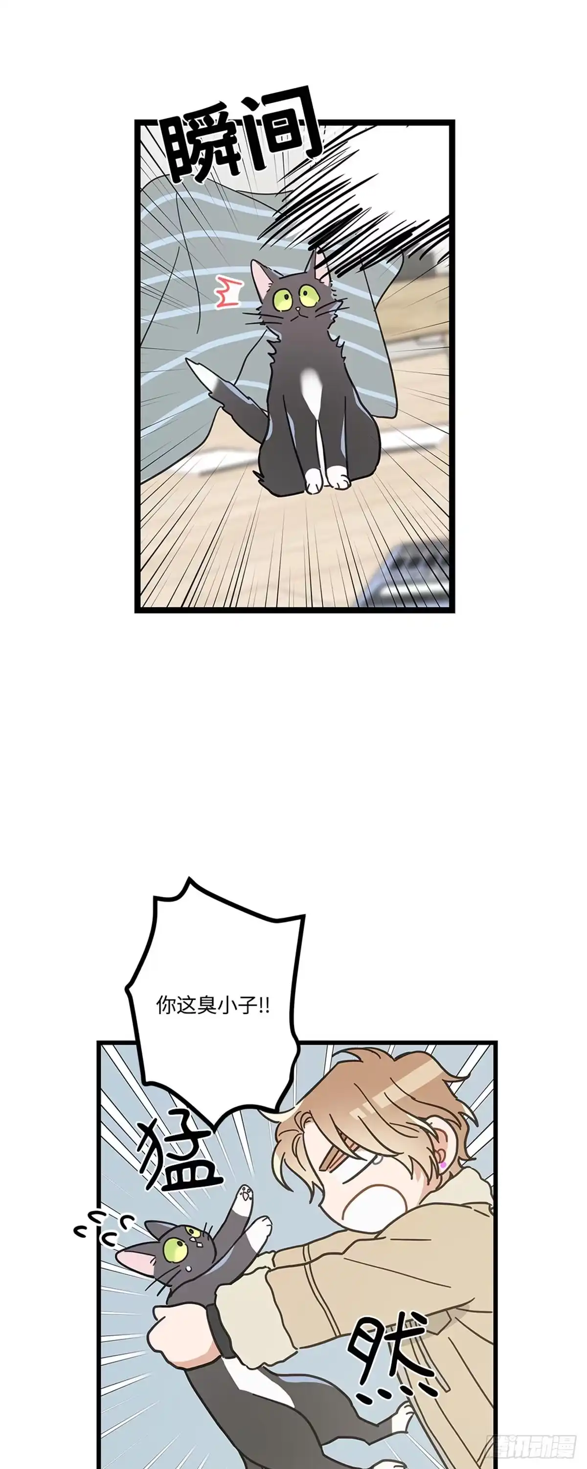 我独一无二的猫咪 第23话 第37页