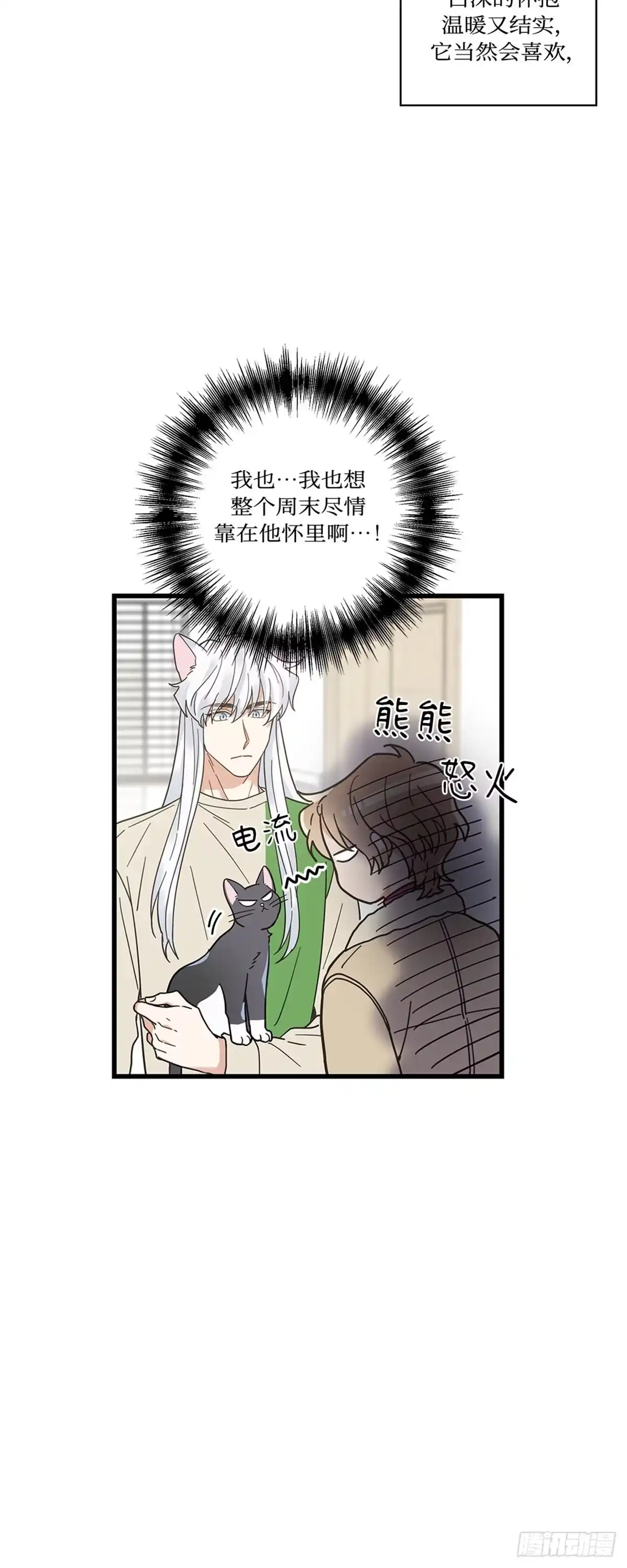 我独一无二的猫咪 第23话 第3页