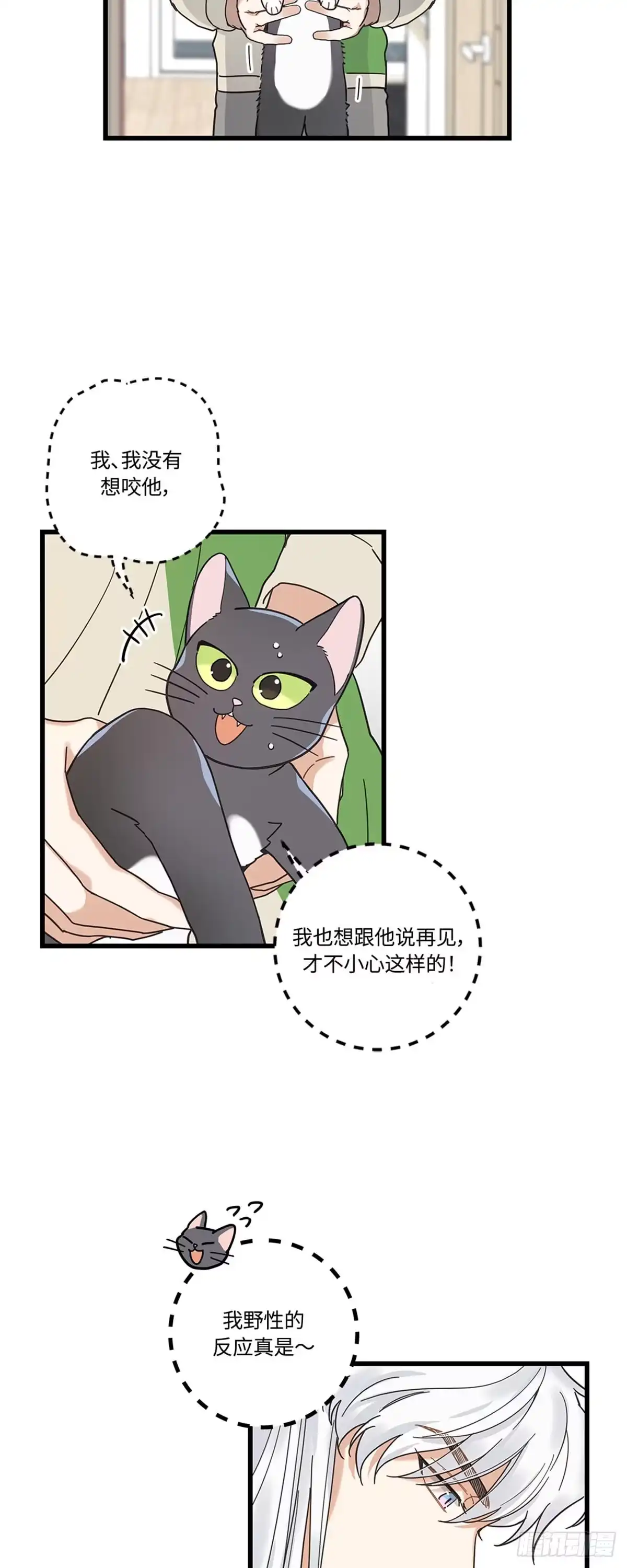 我独一无二的猫咪 第23话 第12页
