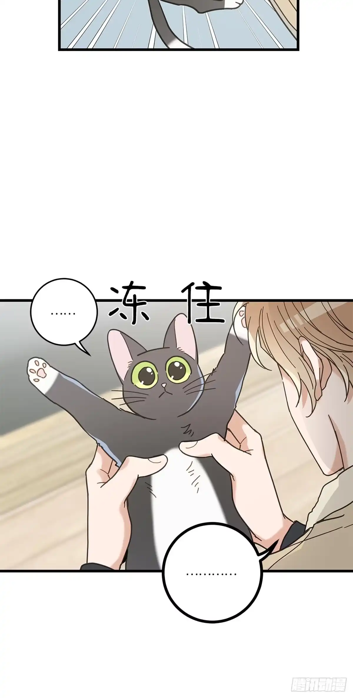 我独一无二的猫咪 第23话 第38页
