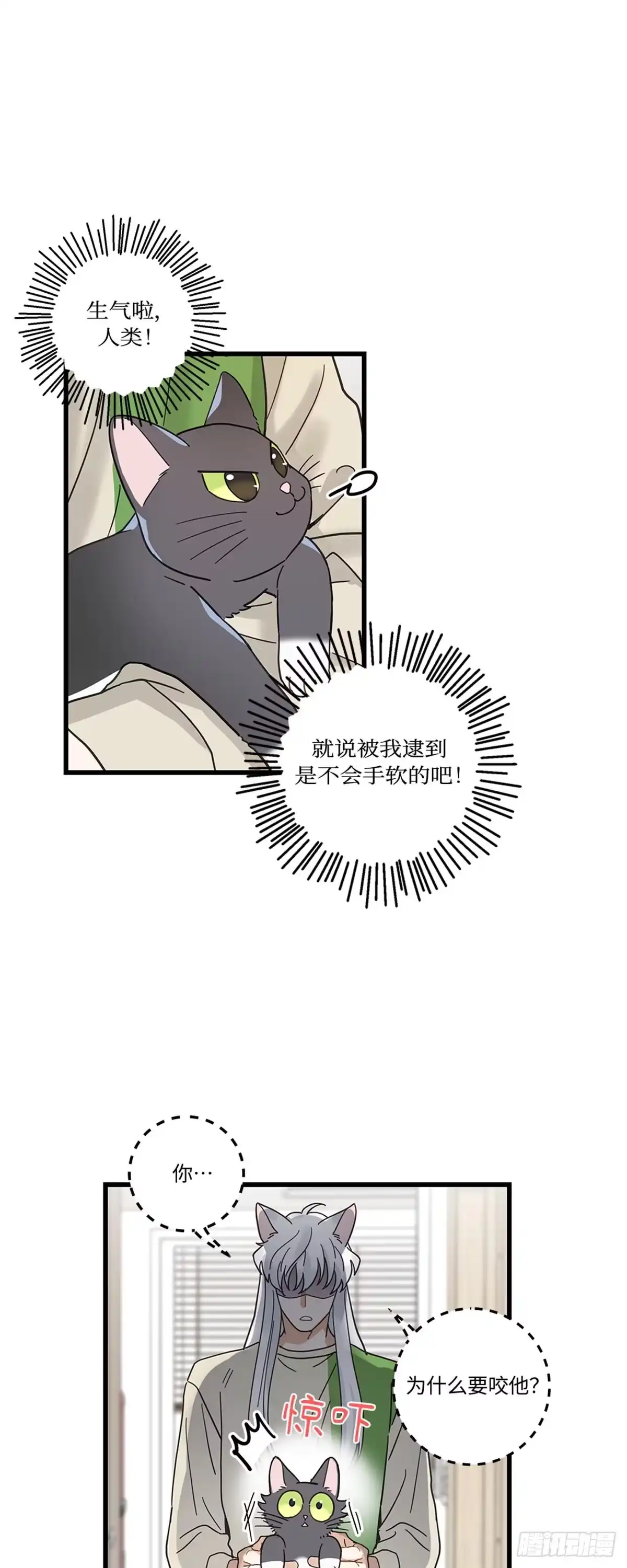 我独一无二的猫咪 第23话 第11页
