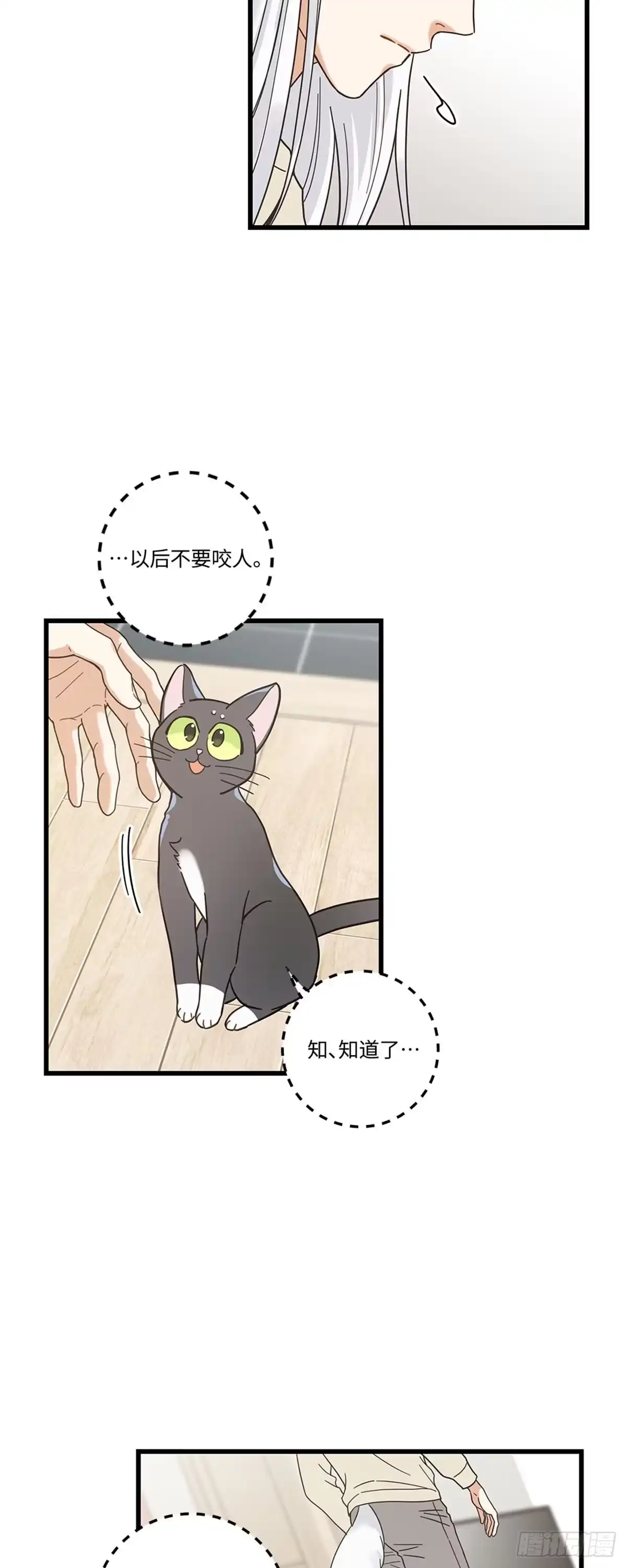 我独一无二的猫咪 第23话 第13页