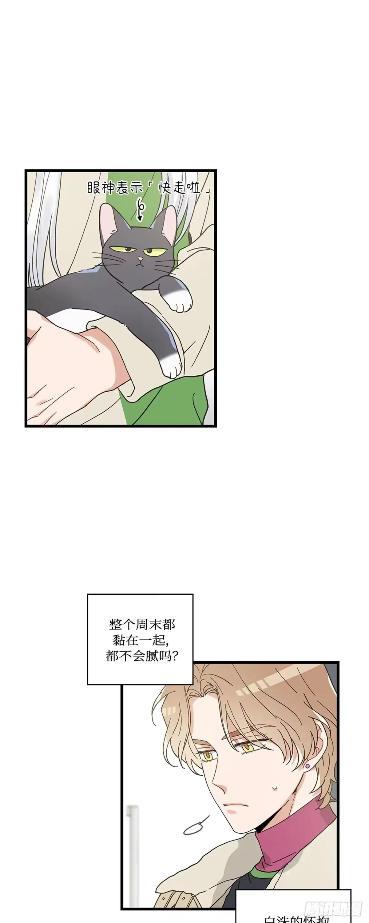 我独一无二的猫咪 第23话 第2页