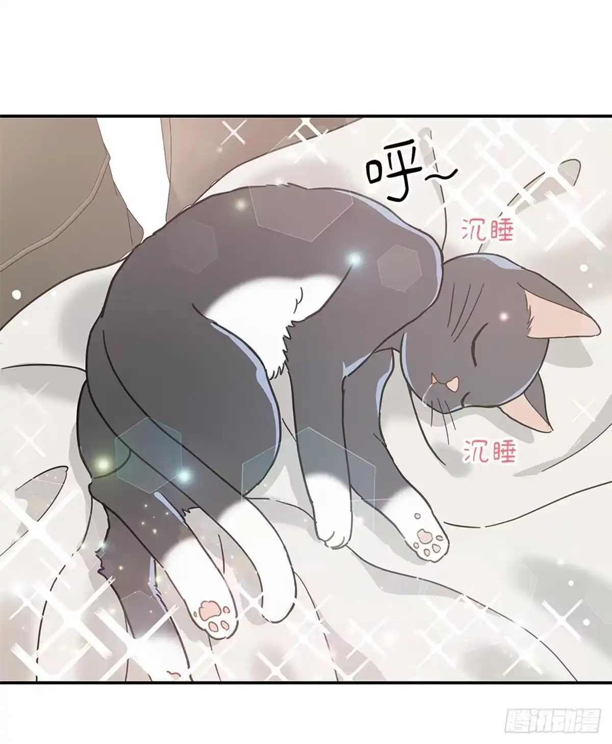 我独一无二的猫咪 第26话 第30页