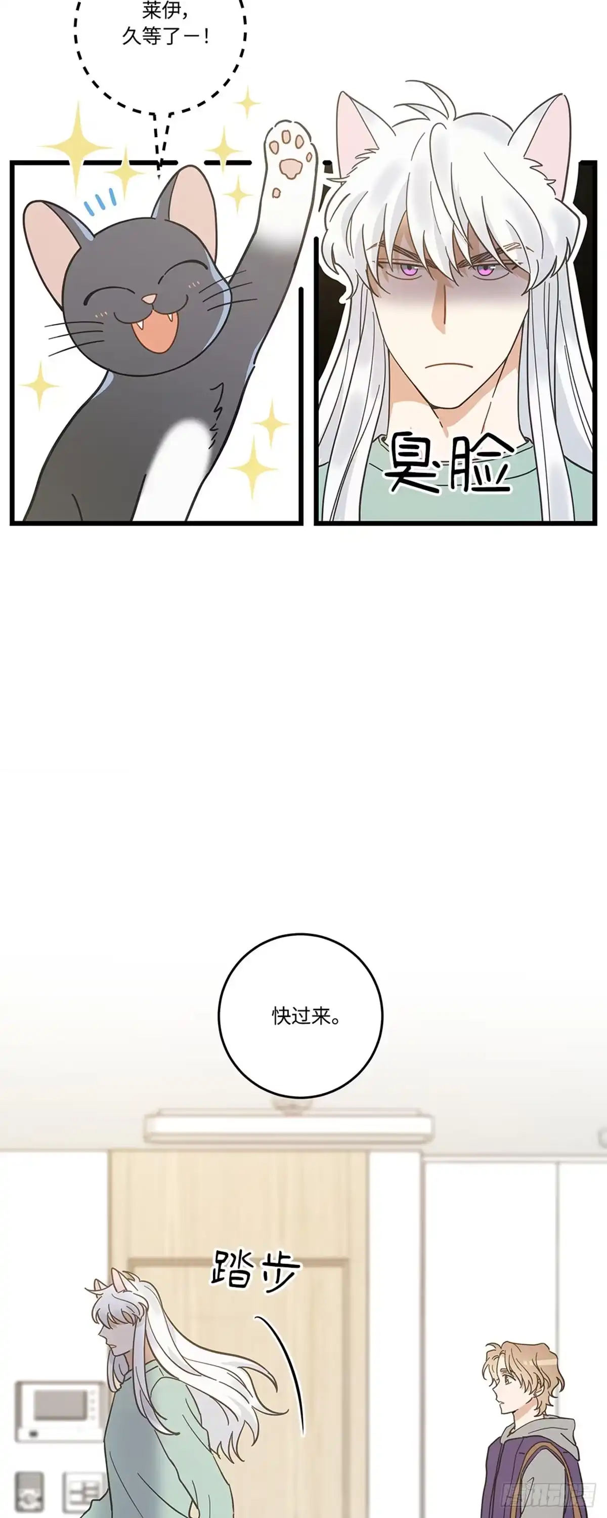 我独一无二的猫咪 第25话 第14页