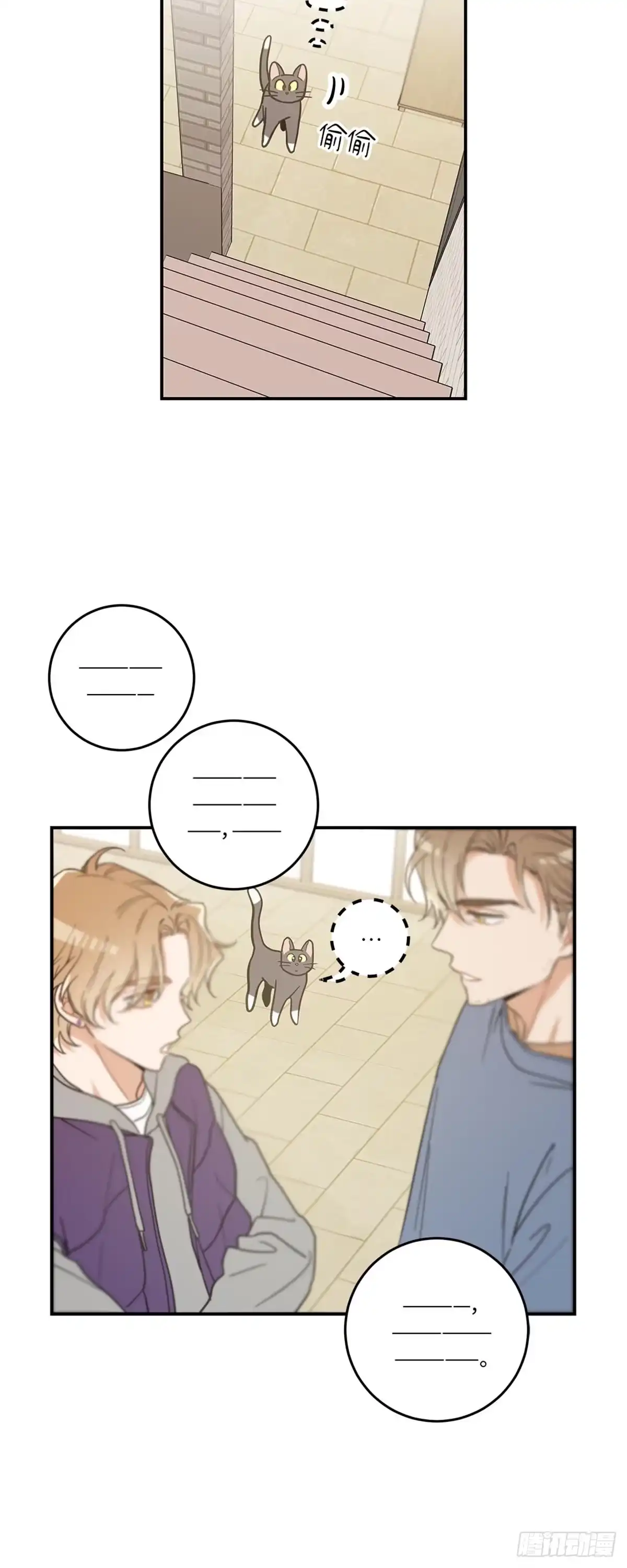 我独一无二的猫咪 第25话 第3页