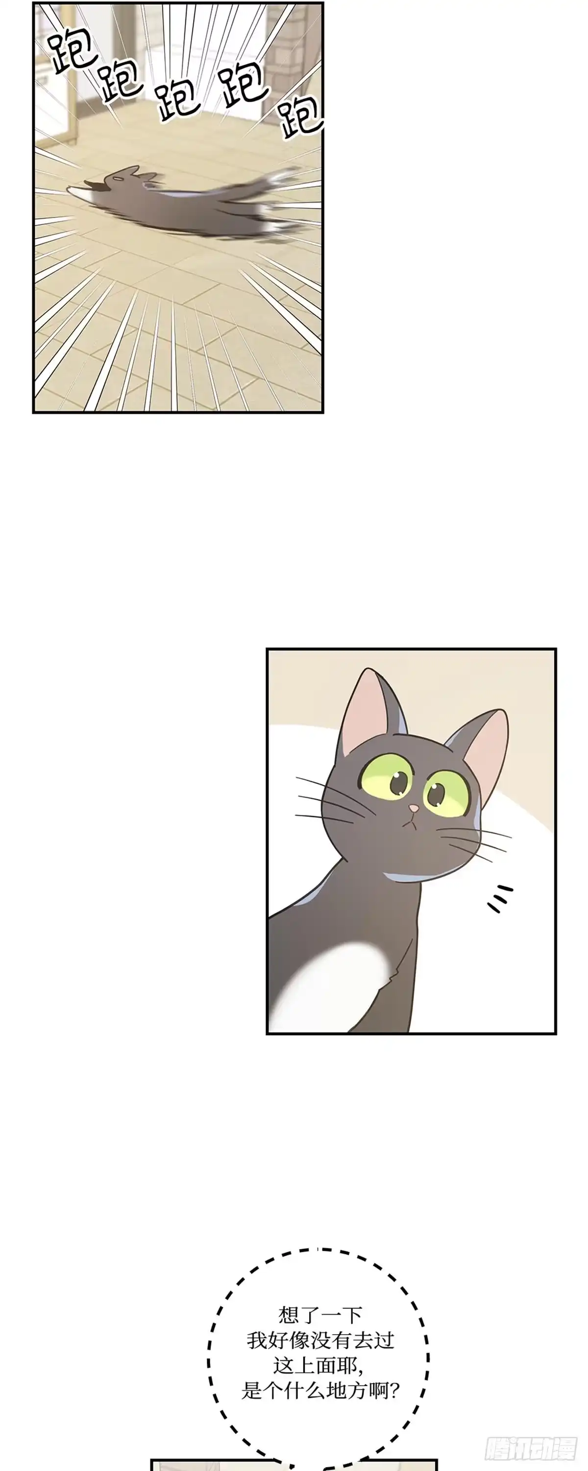 我独一无二的猫咪 第25话 第2页