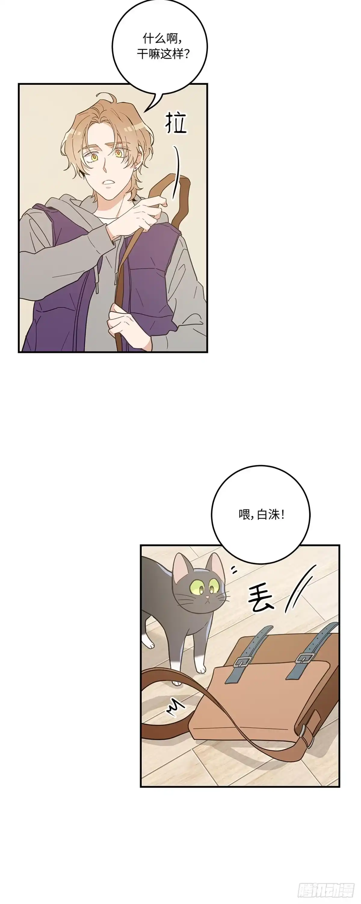 我独一无二的猫咪 第25话 第16页