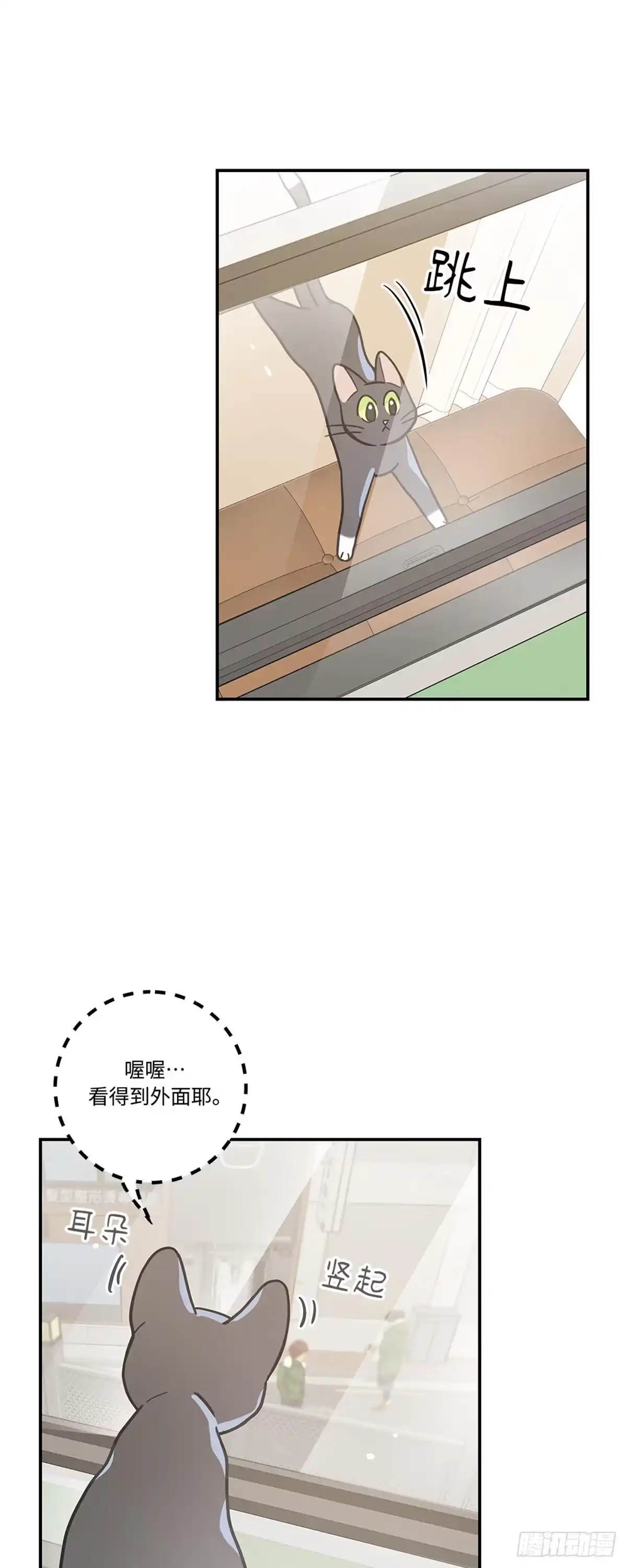 我独一无二的猫咪 第25话 第7页
