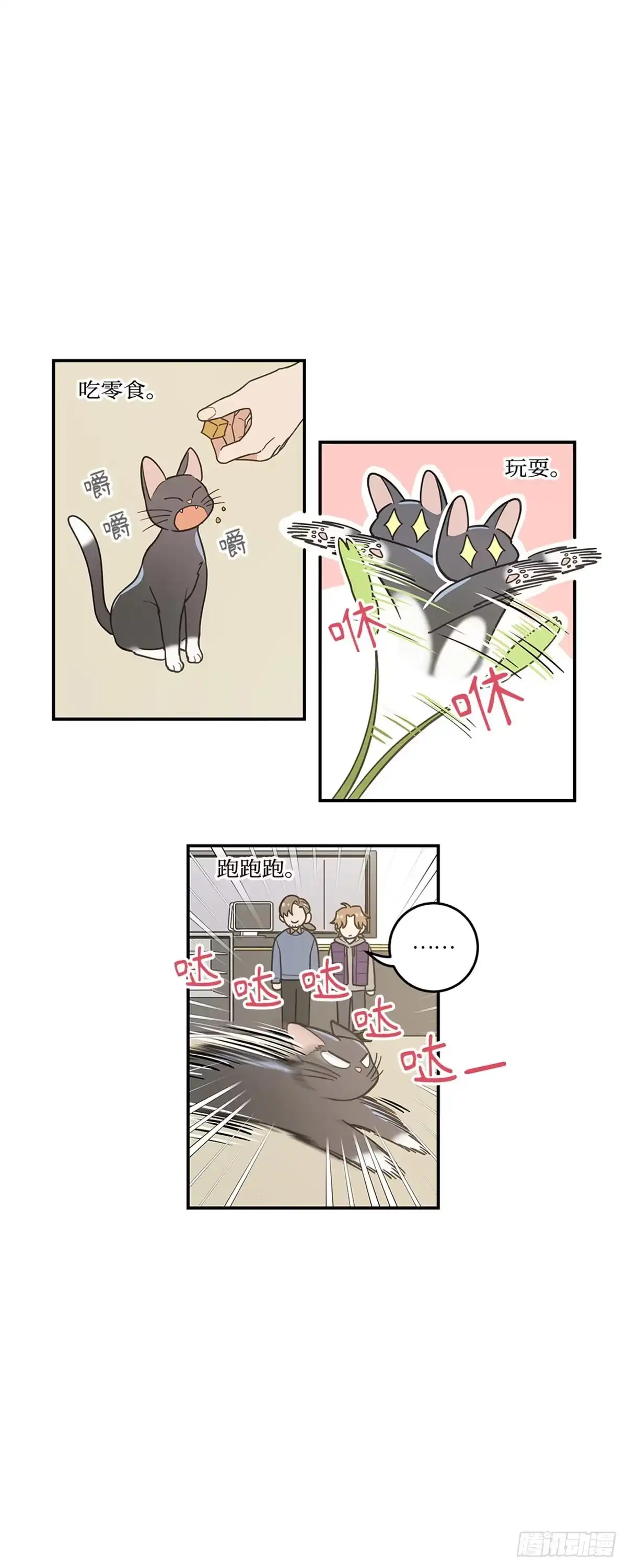 我独一无二的猫咪 第25话 第1页