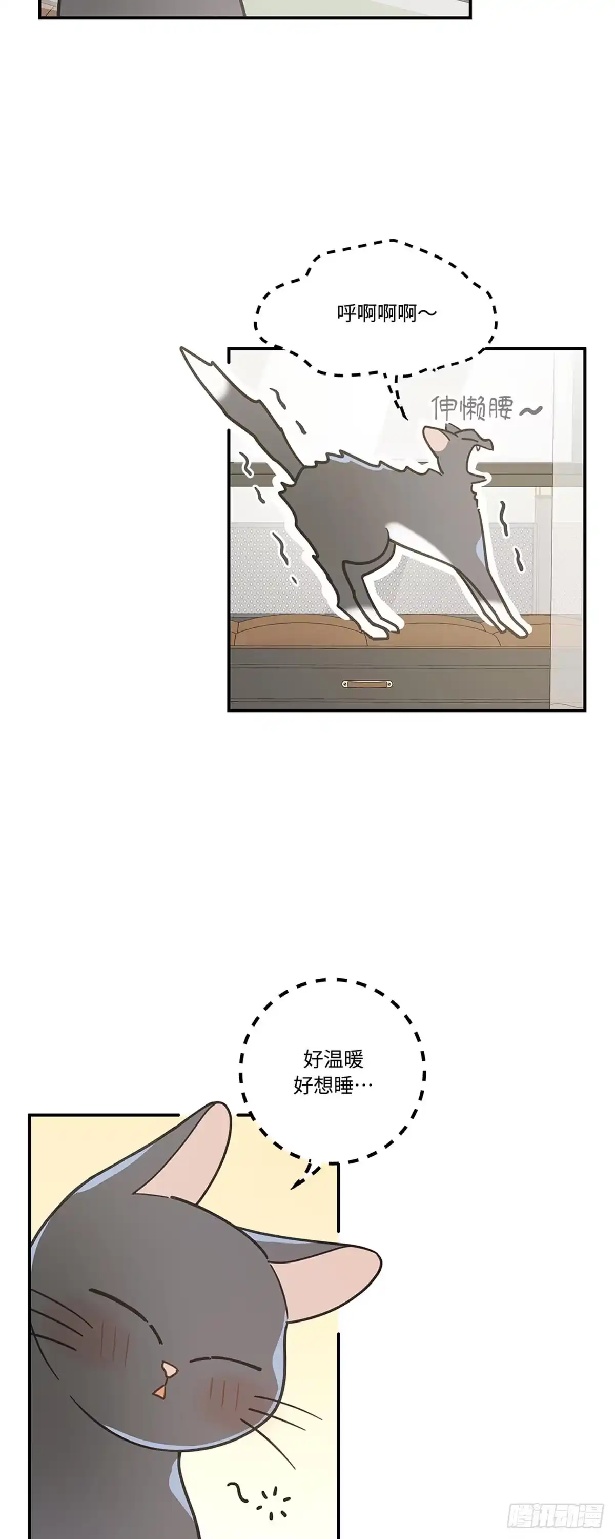 我独一无二的猫咪 第25话 第8页