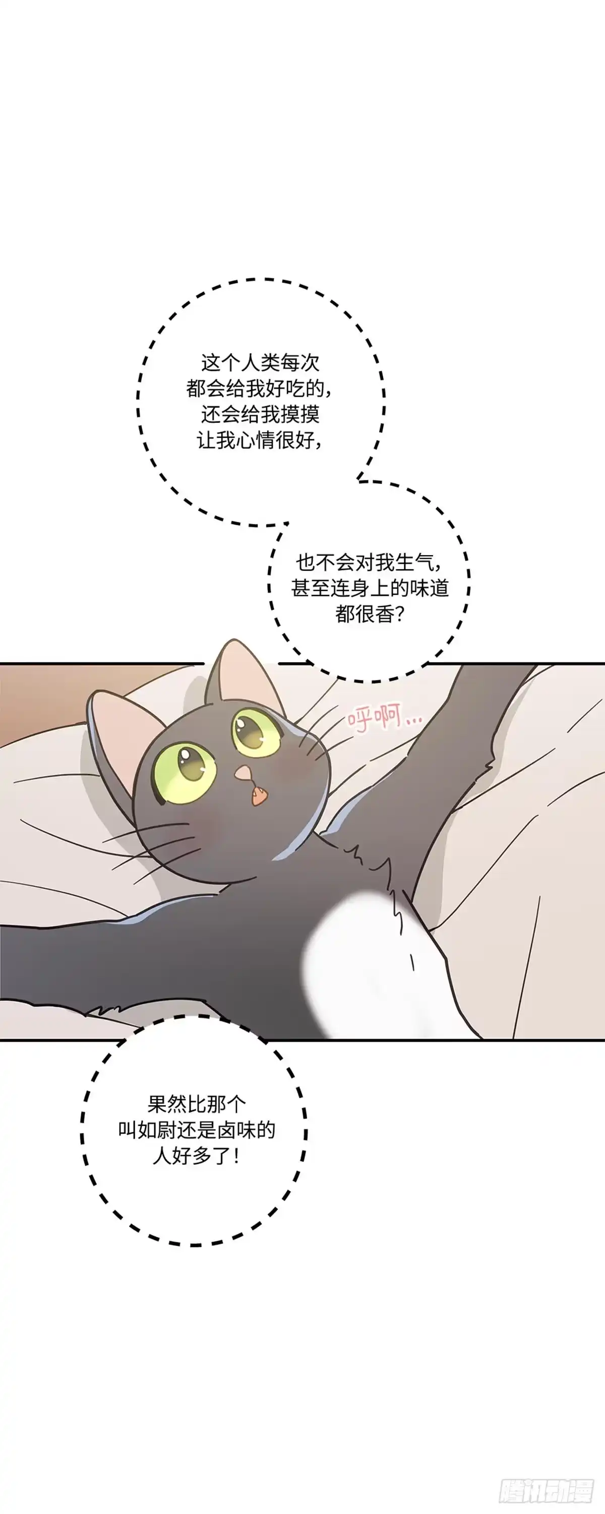 我独一无二的猫咪 第25话 第11页