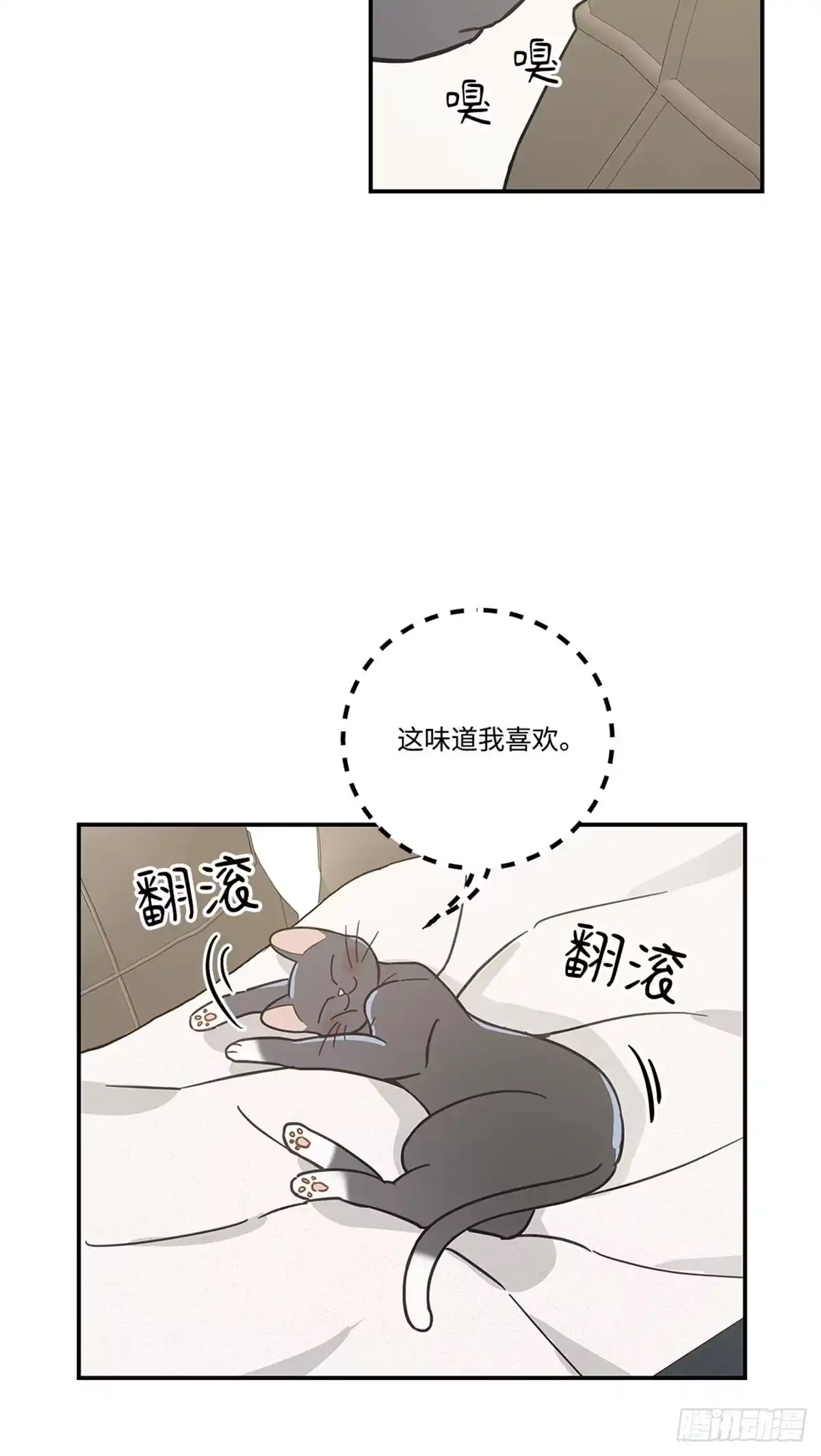 我独一无二的猫咪 第25话 第10页