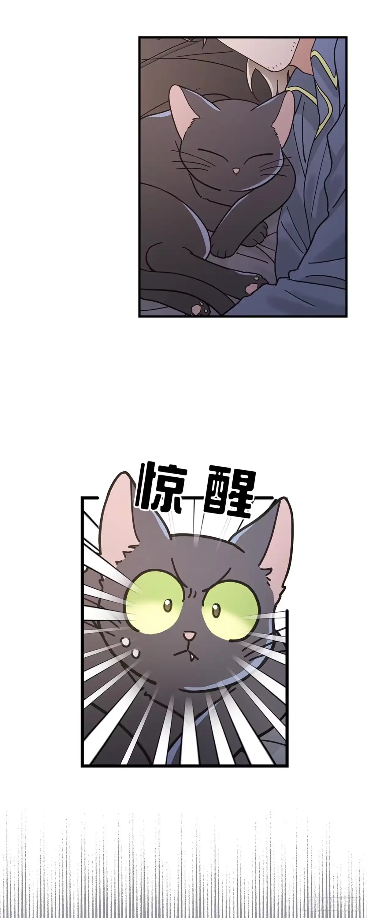 我独一无二的猫咪 第28话 第4页