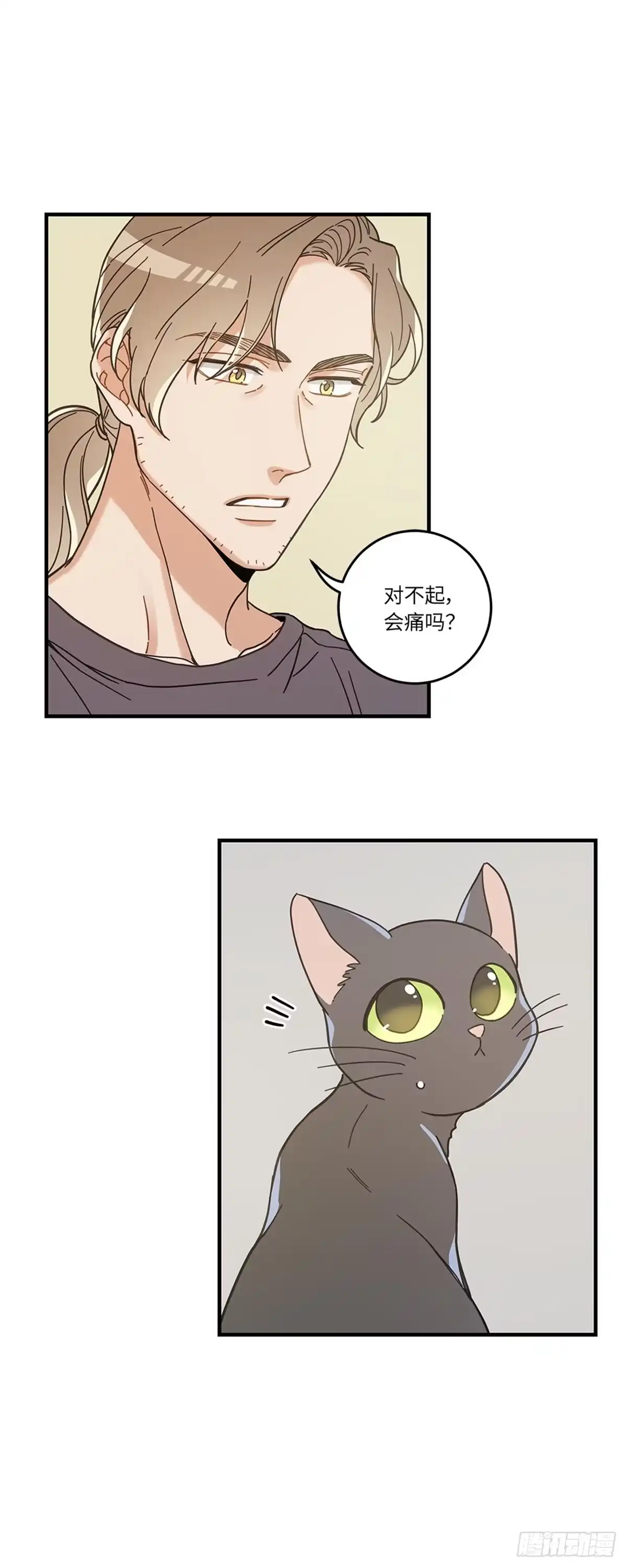 我独一无二的猫咪 第28话 第14页