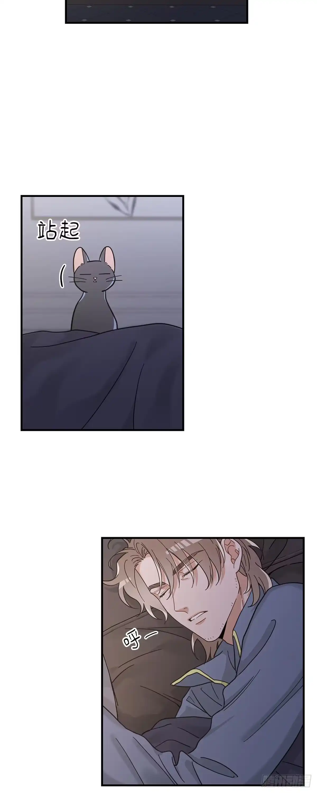 我独一无二的猫咪 第28话 第2页