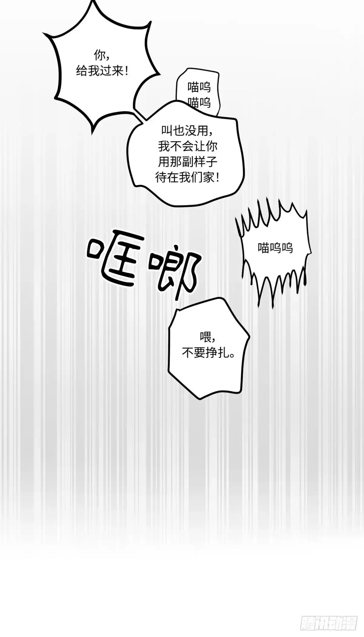 我独一无二的猫咪 第2话 第19页
