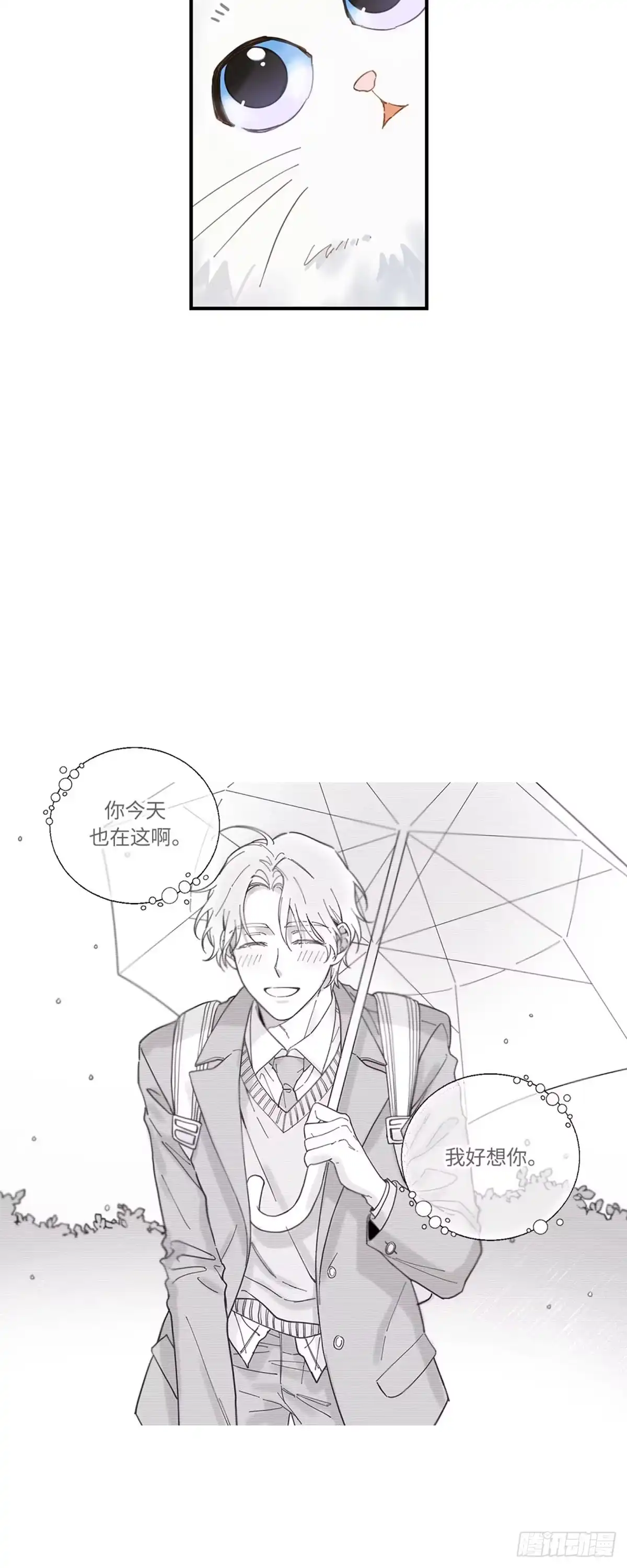 我独一无二的猫咪 第2话 第30页