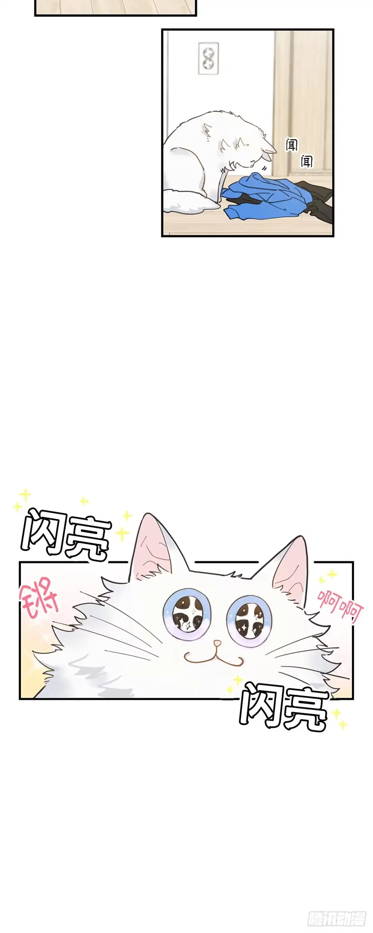 我独一无二的猫咪 第2话 第27页