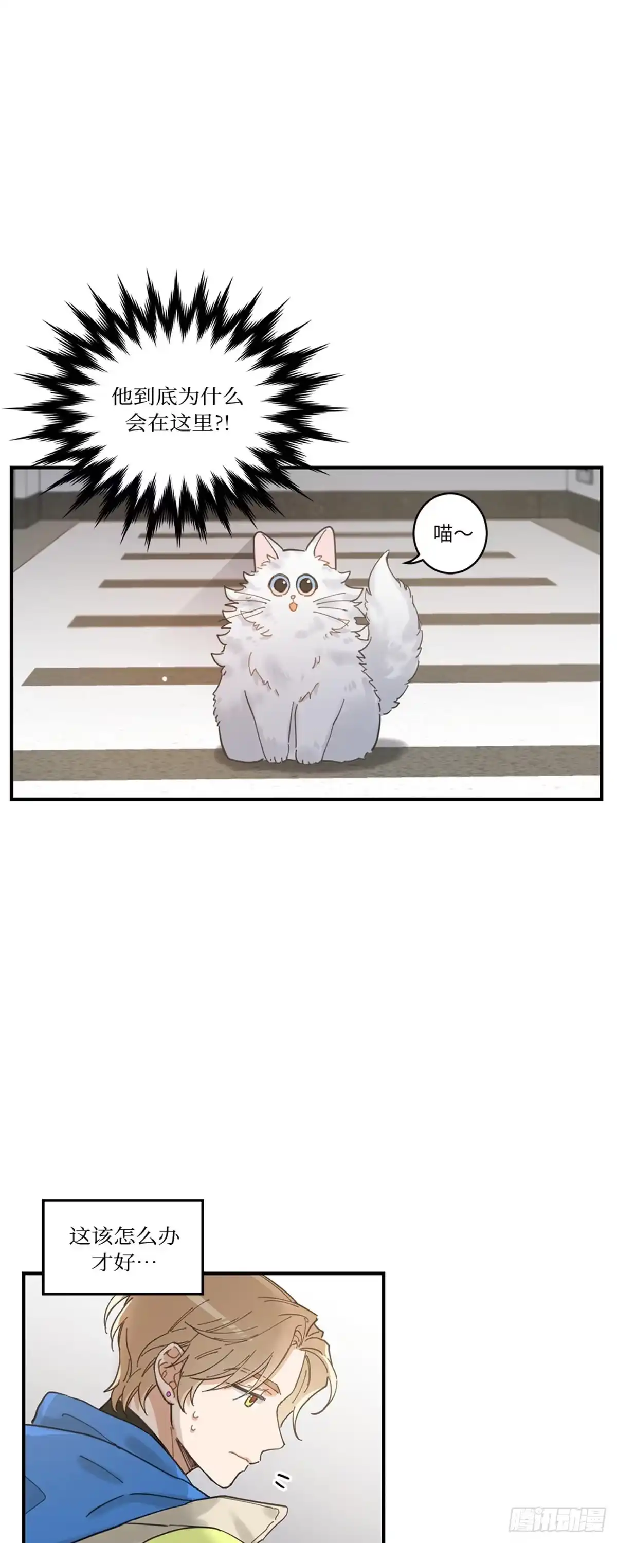 我独一无二的猫咪 第2话 第5页
