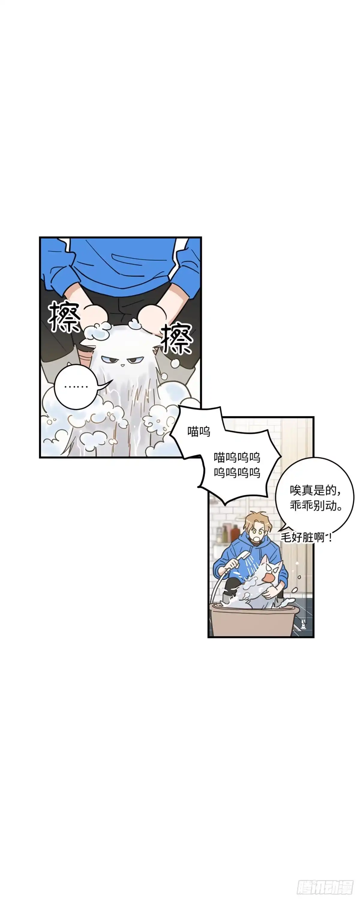 我独一无二的猫咪 第2话 第3页