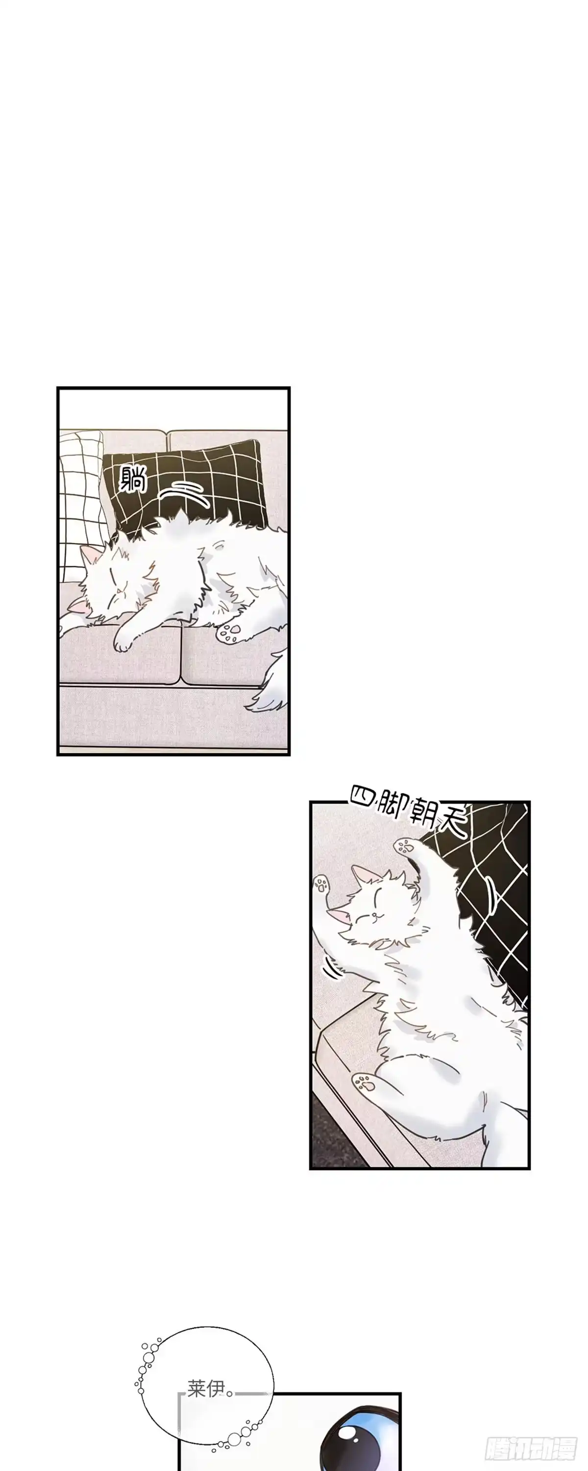 我独一无二的猫咪 第2话 第29页