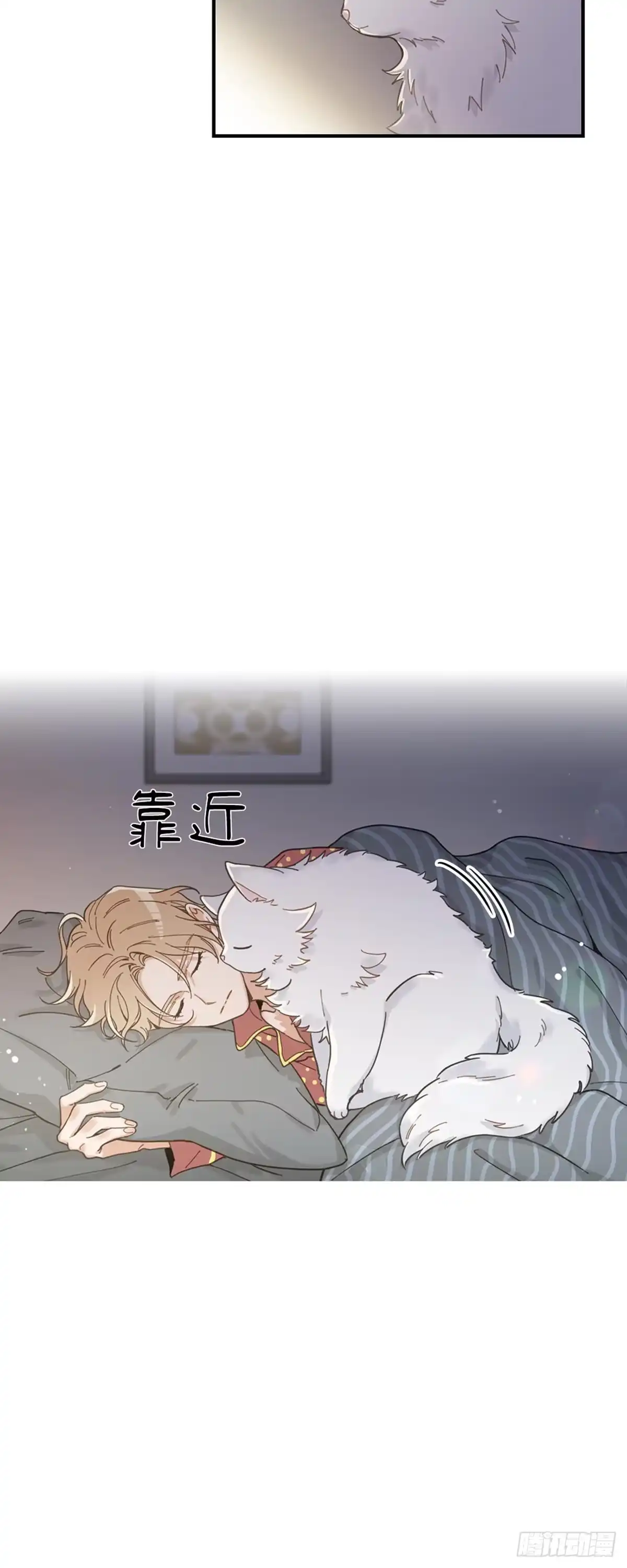 我独一无二的猫咪 第2话 第39页