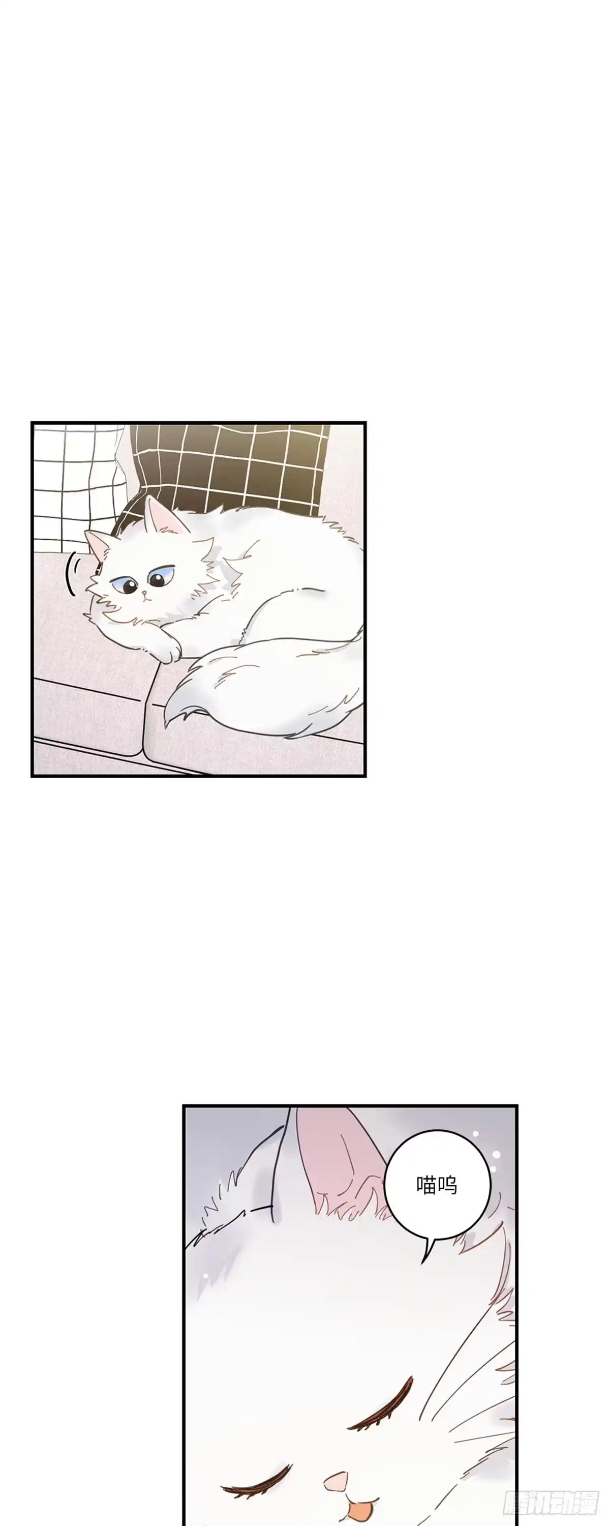 我独一无二的猫咪 第2话 第32页
