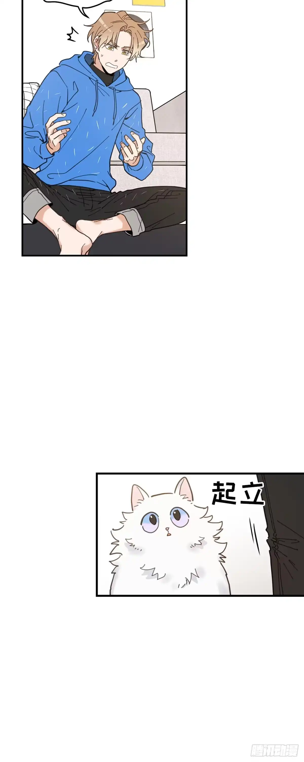 我独一无二的猫咪 第2话 第24页