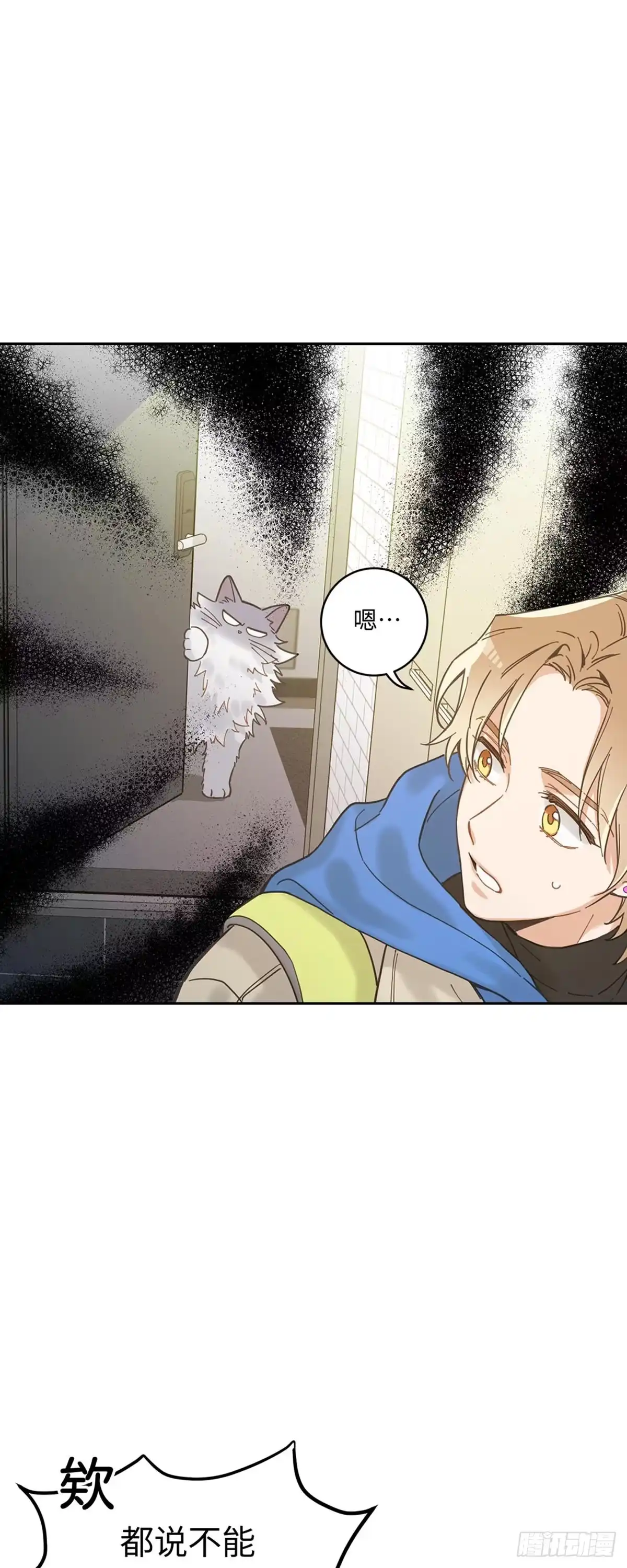我独一无二的猫咪 第2话 第12页