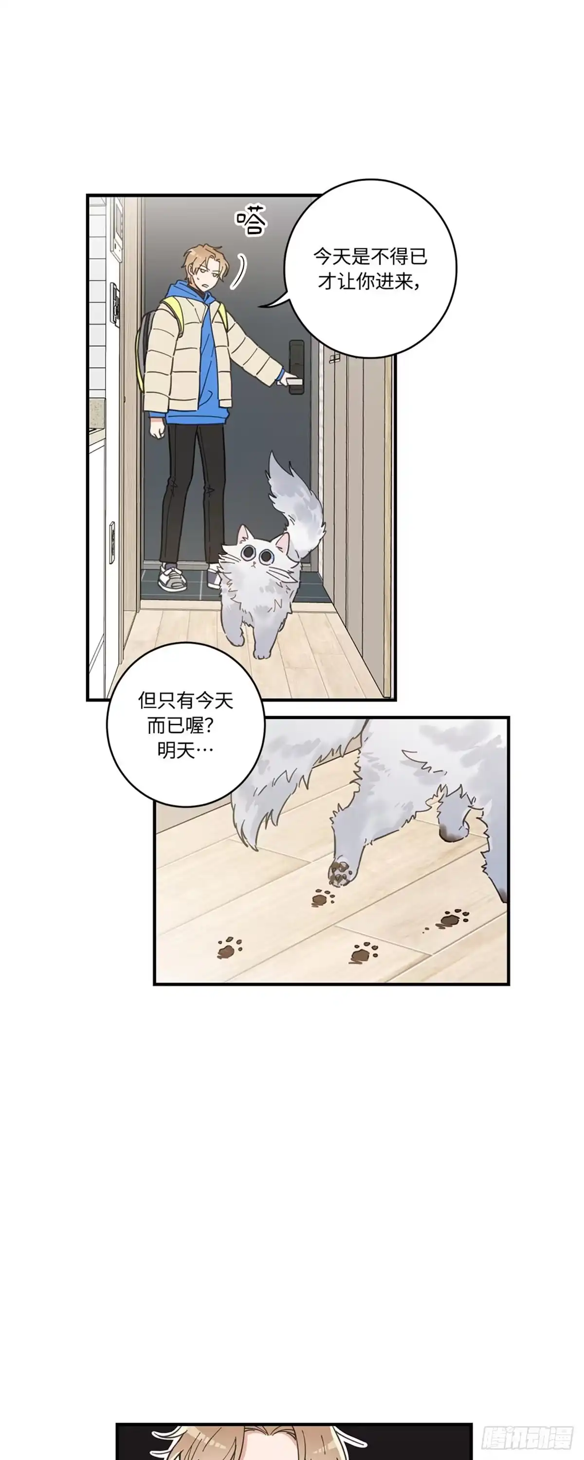我独一无二的猫咪 第2话 第17页