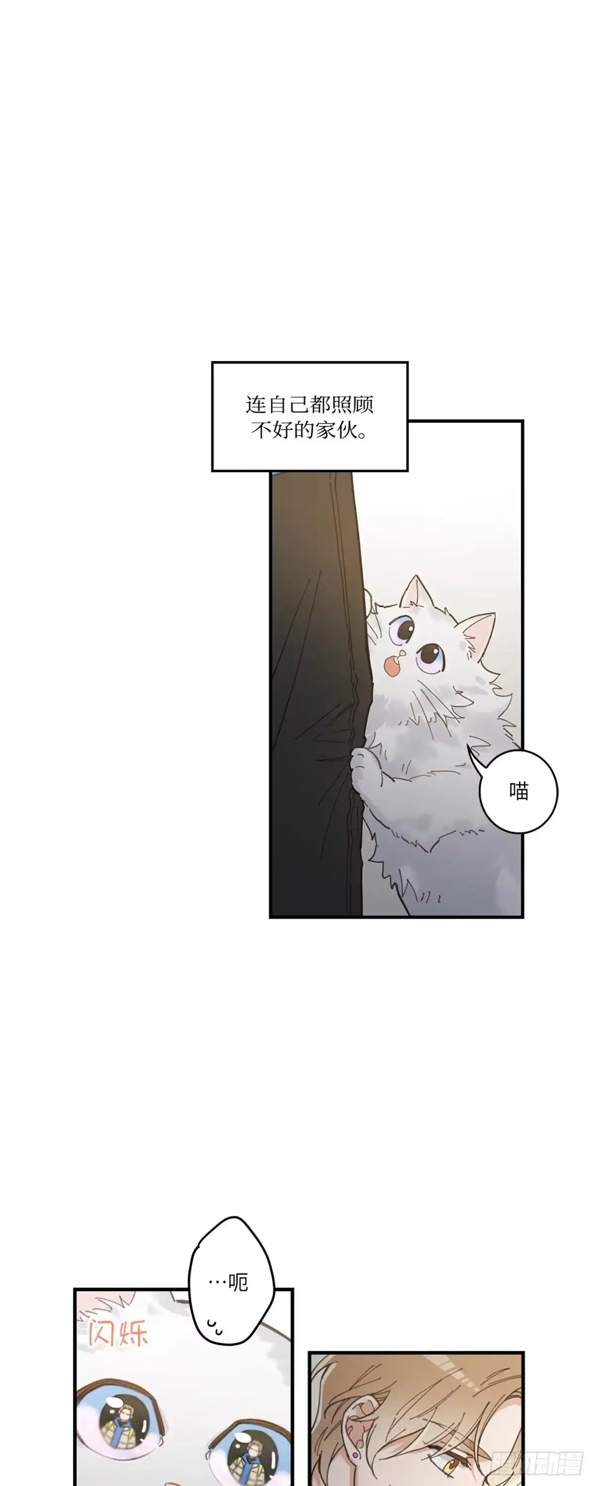 我独一无二的猫咪 第2话 第8页