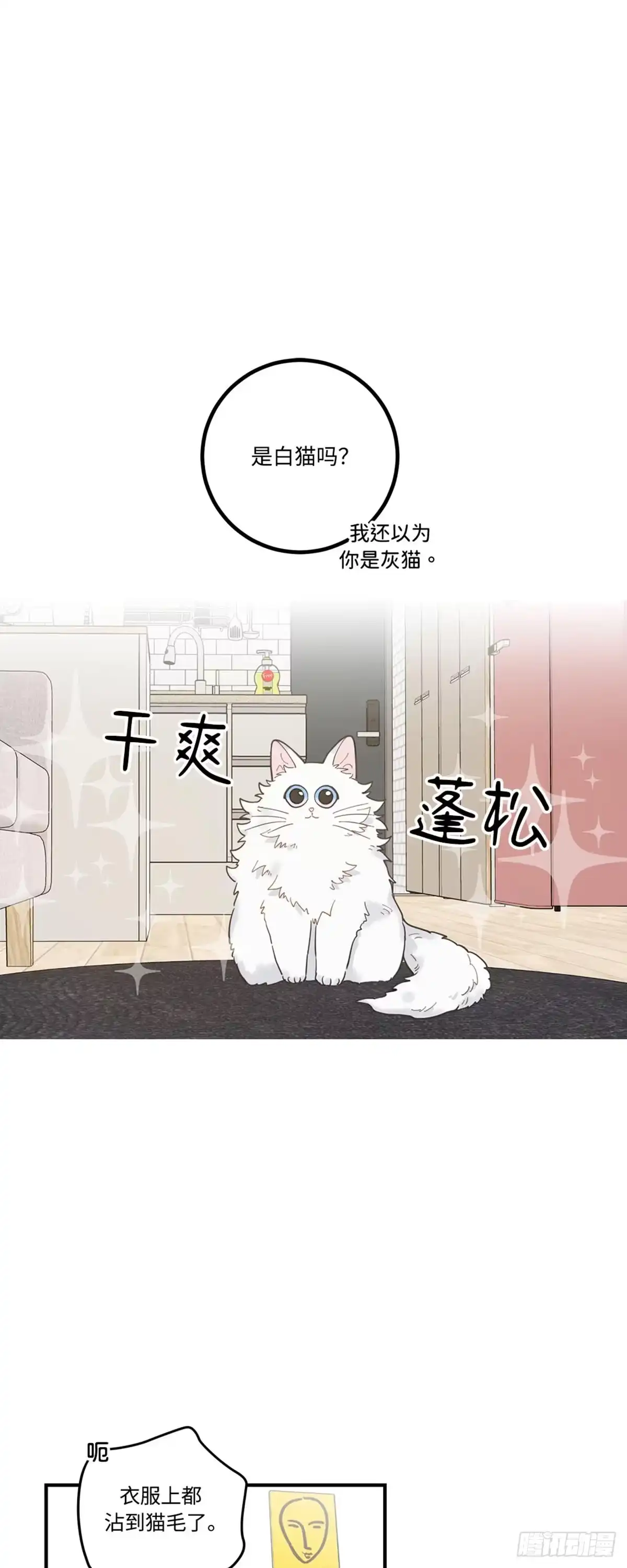 我独一无二的猫咪 第2话 第23页