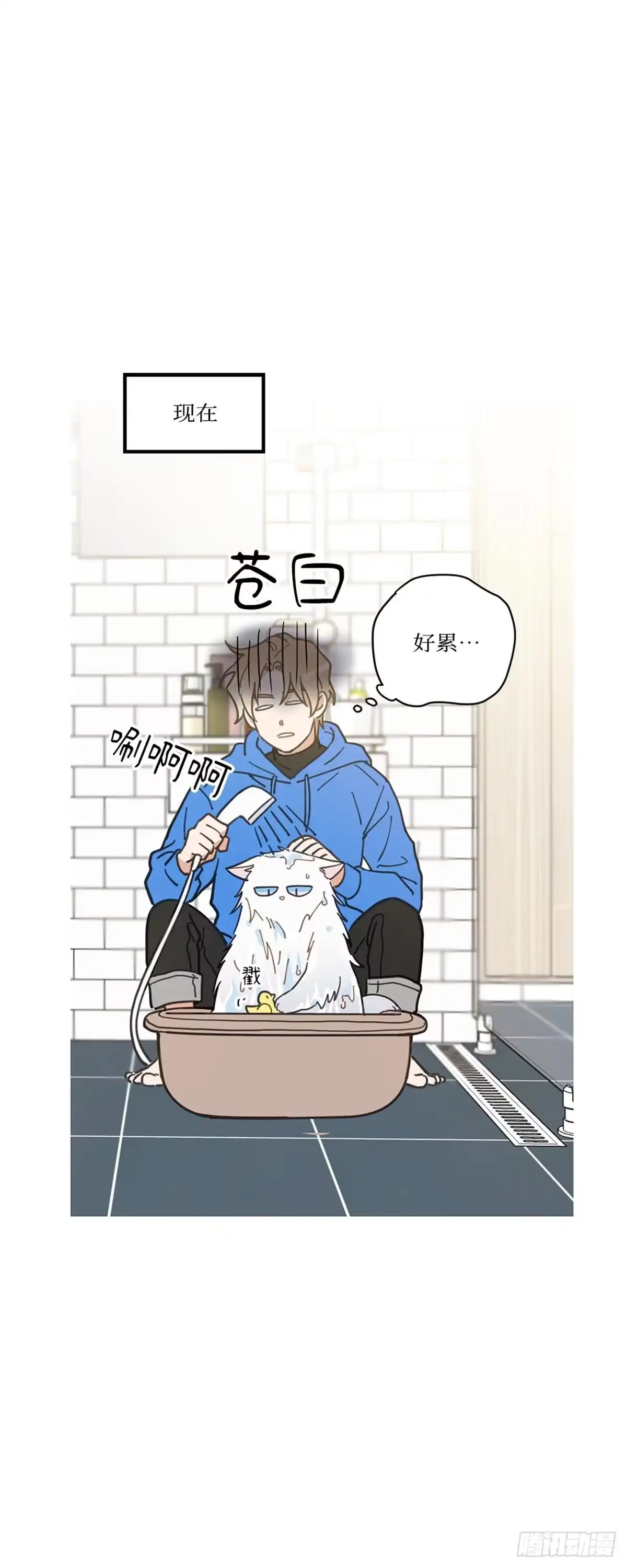 我独一无二的猫咪 第2话 第20页