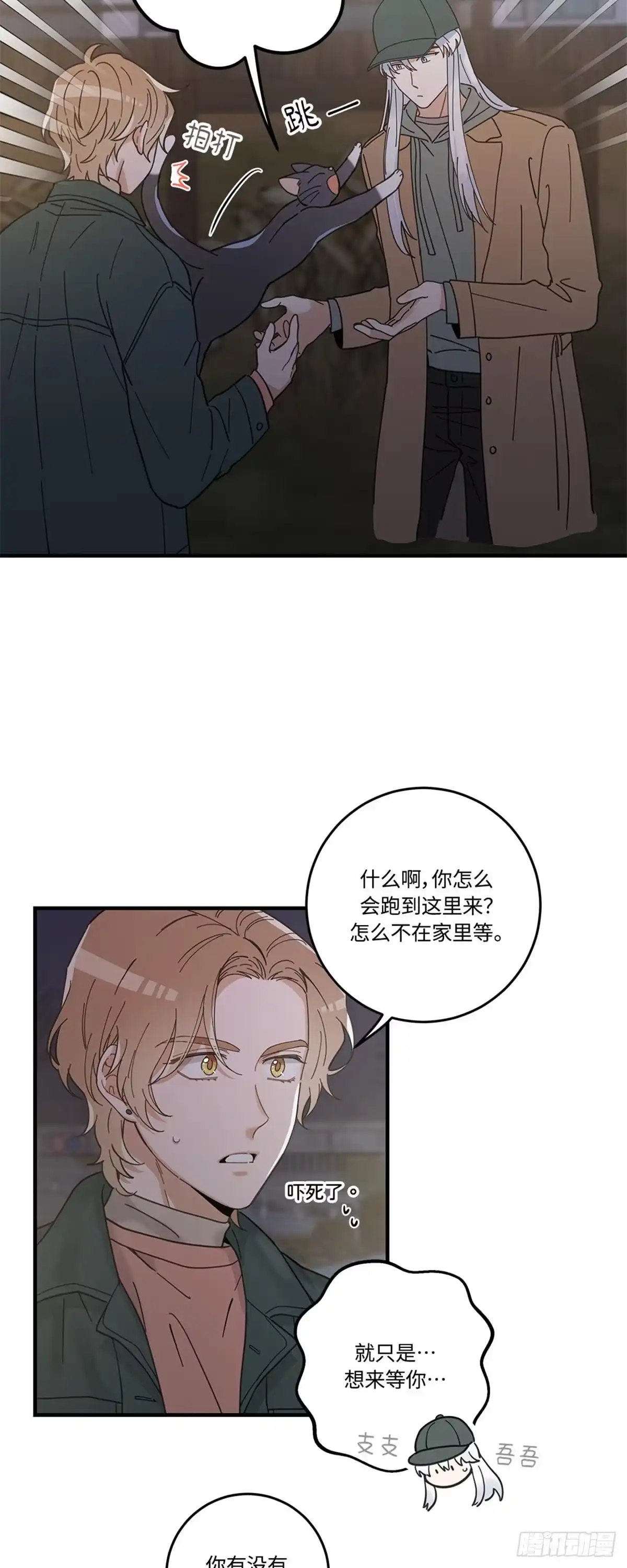 我独一无二的猫咪 第29话 第8页