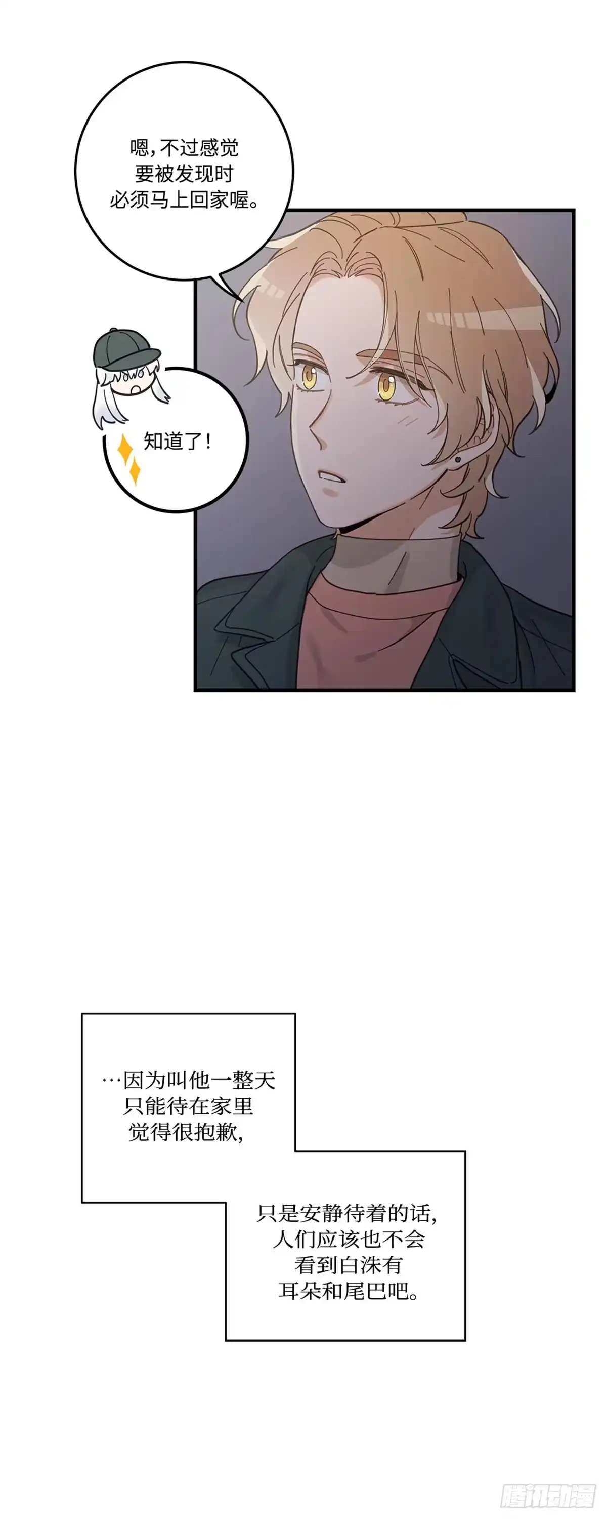 我独一无二的猫咪 第29话 第12页