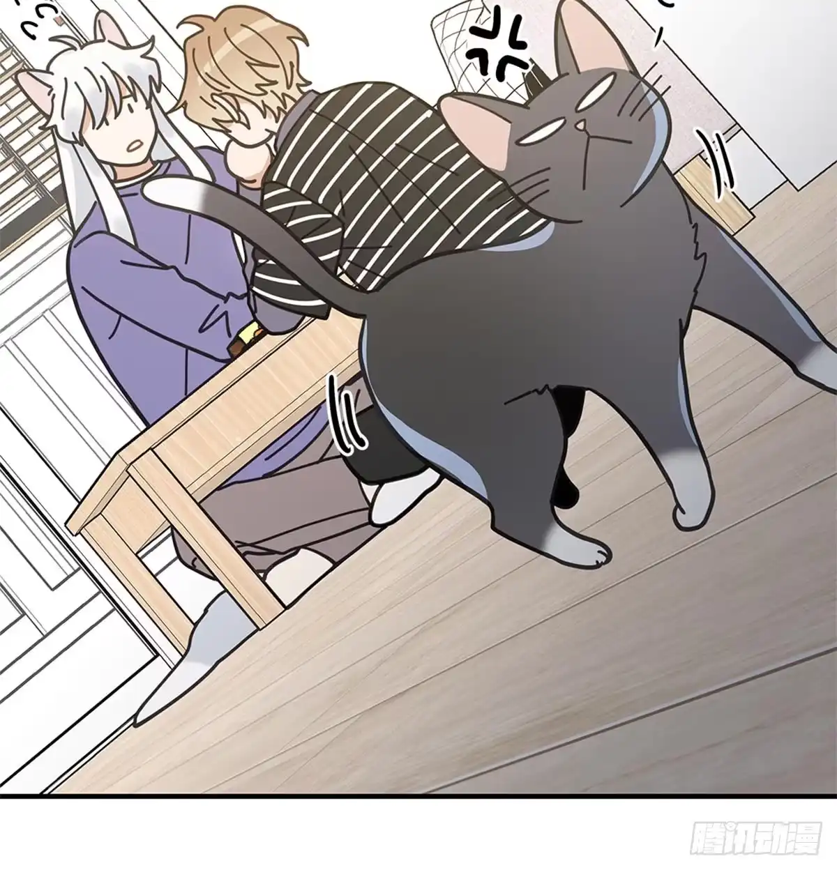 我独一无二的猫咪 第29话 第33页