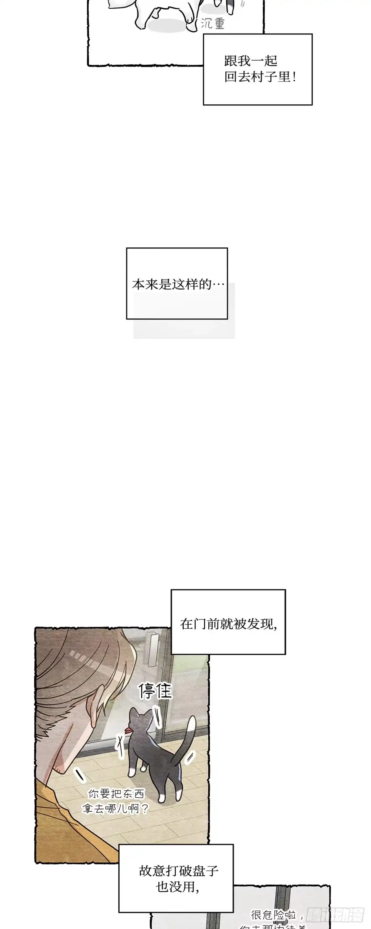 我独一无二的猫咪 第29话 第29页