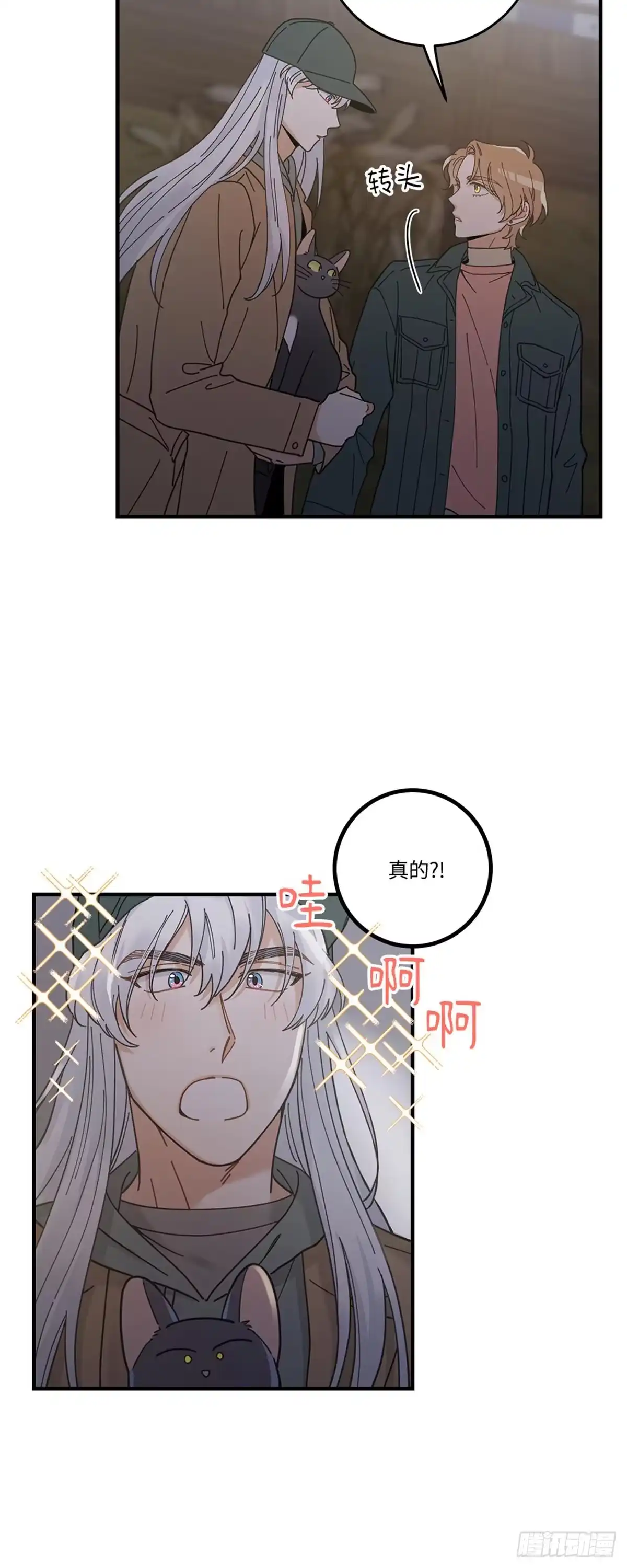 我独一无二的猫咪 第29话 第11页