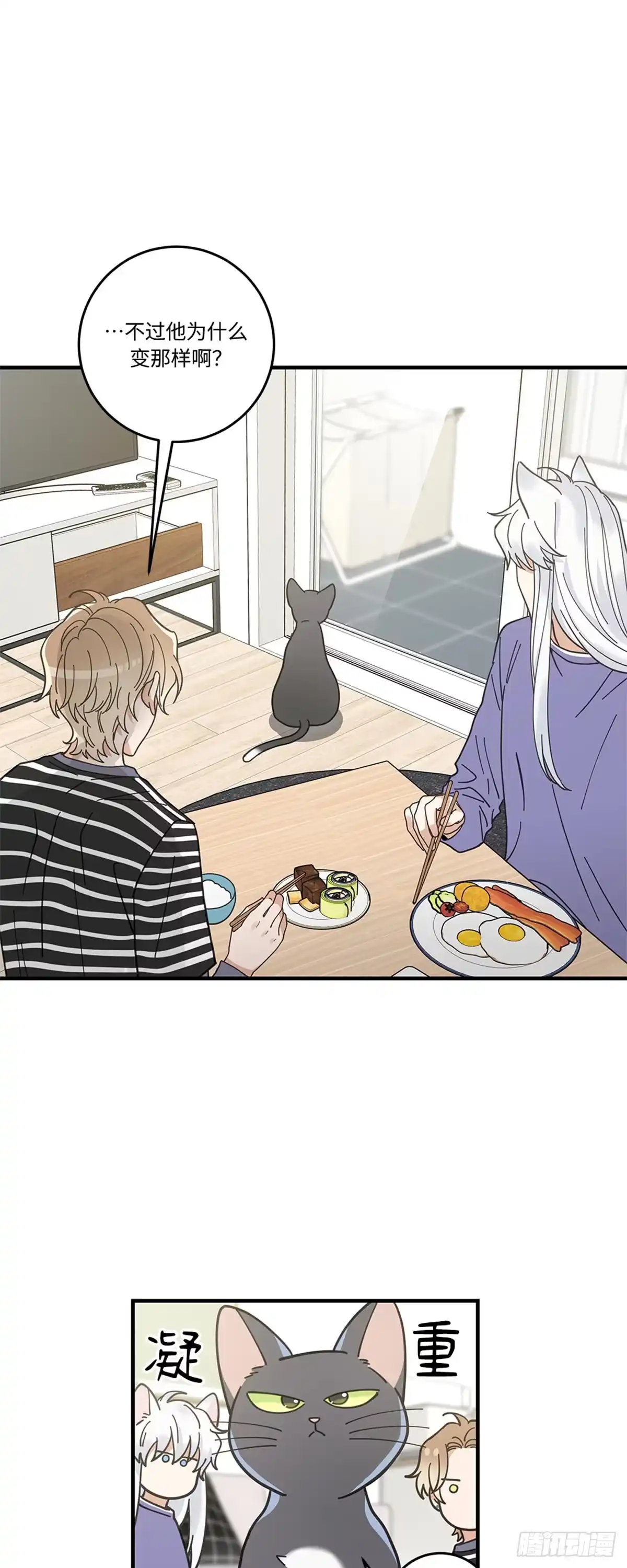 我独一无二的猫咪 第29话 第26页
