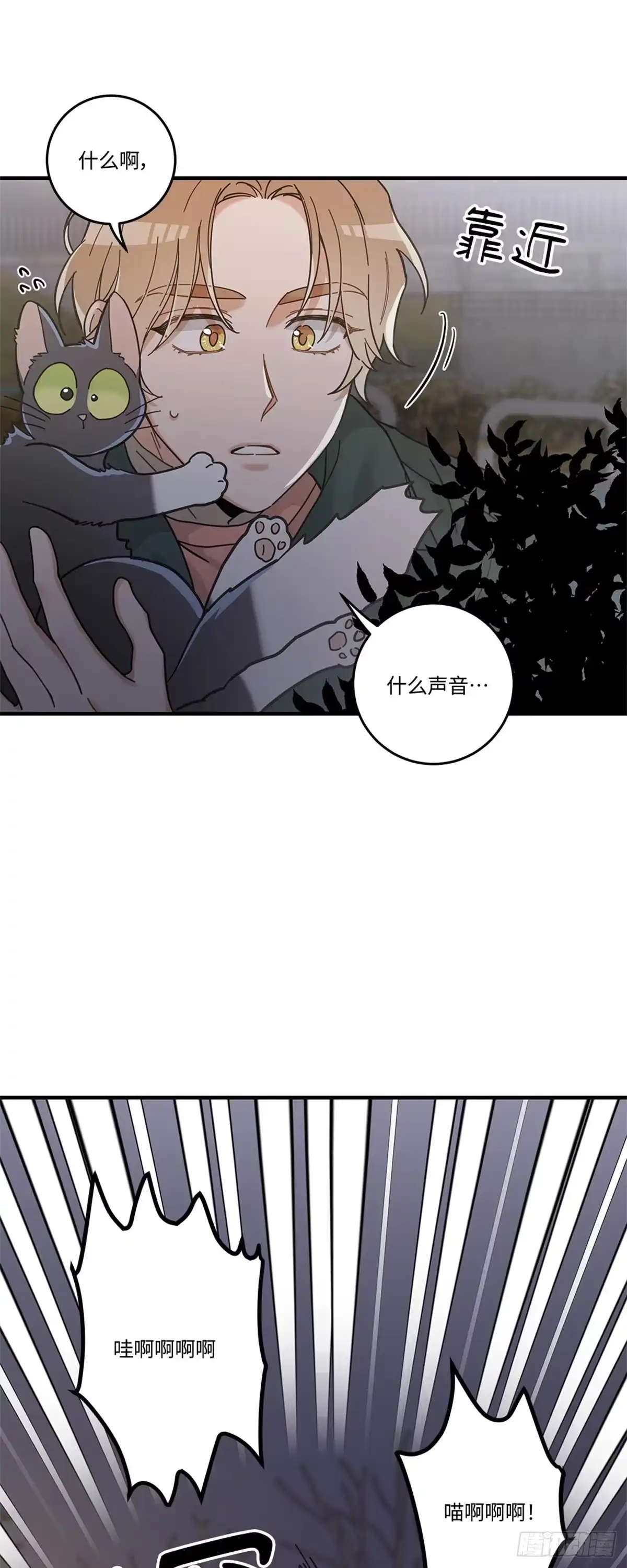 我独一无二的猫咪 第29话 第5页