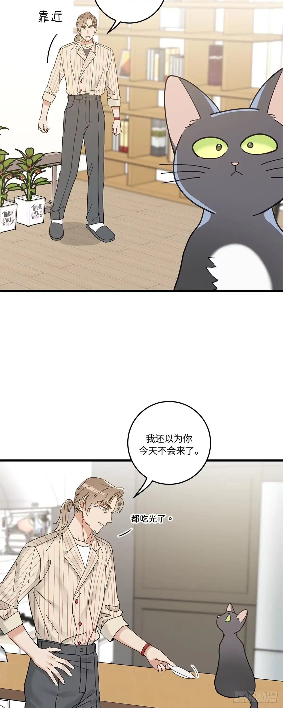我独一无二的猫咪 第30话 第29页