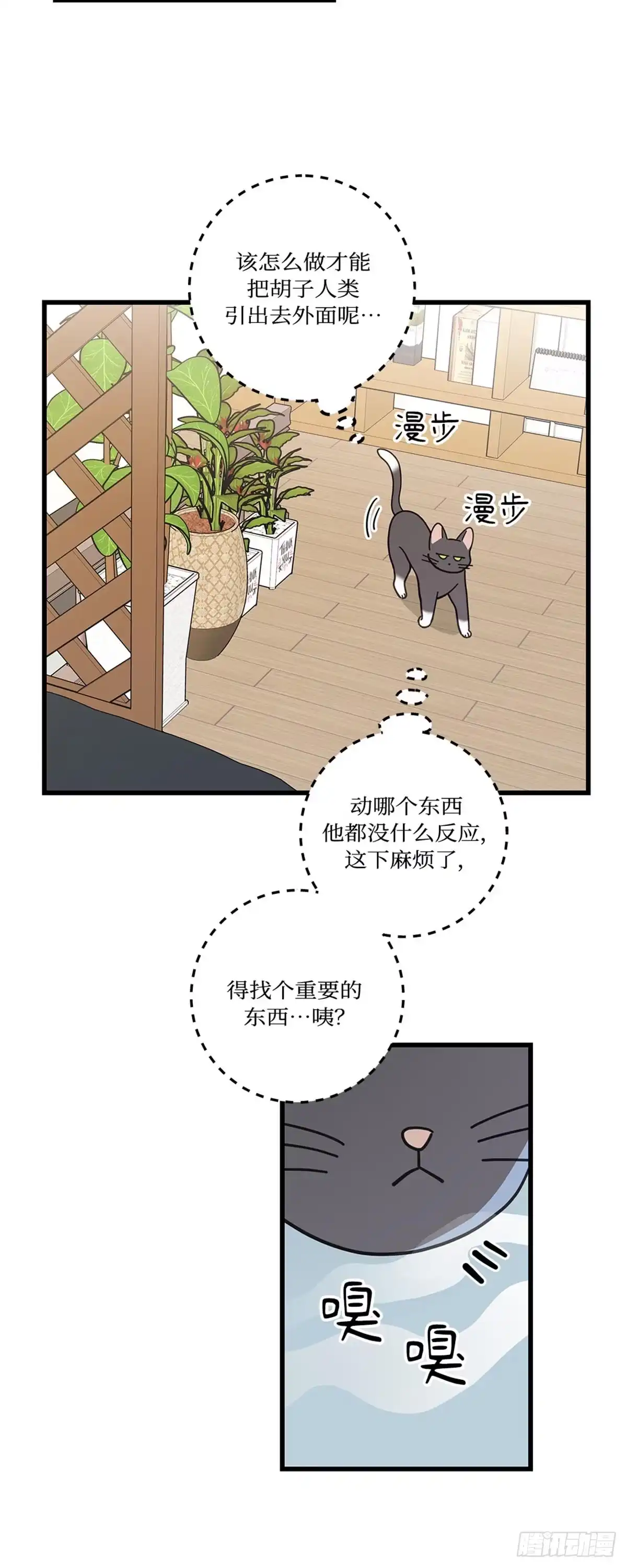我独一无二的猫咪 第30话 第24页