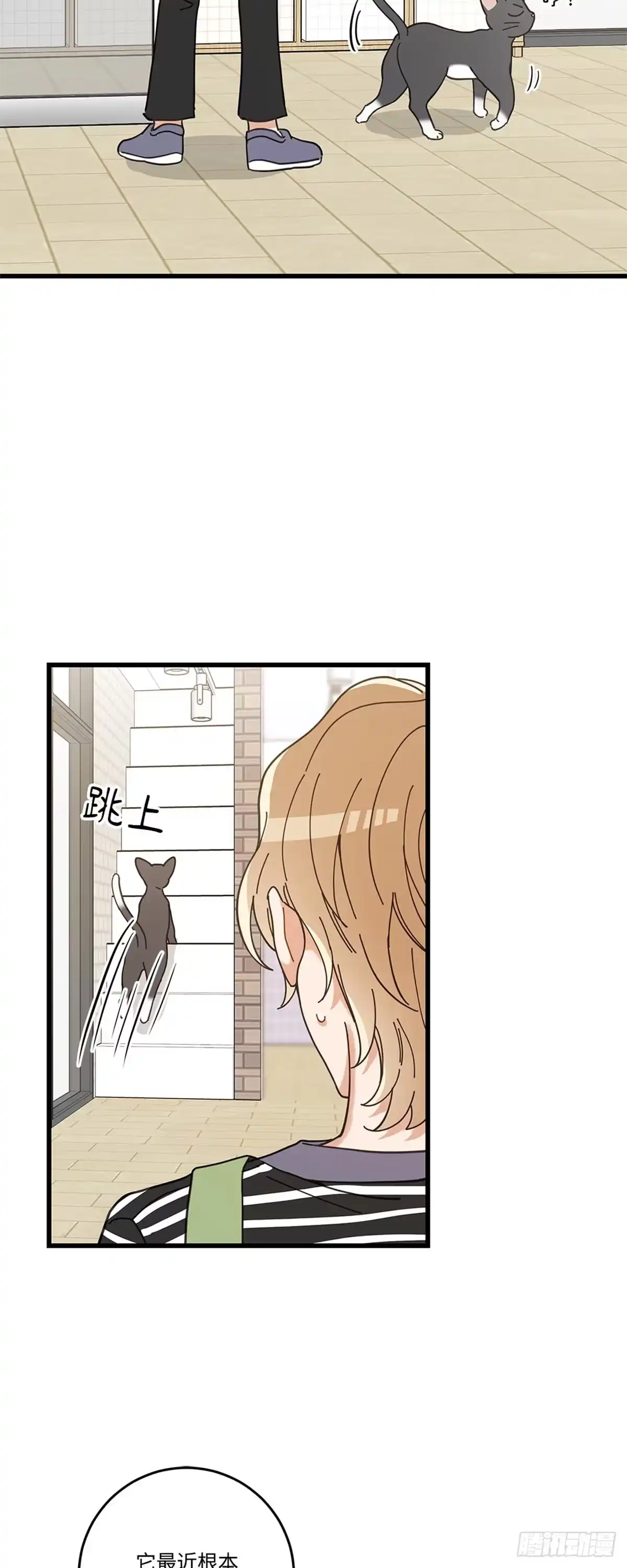 我独一无二的猫咪 第30话 第22页