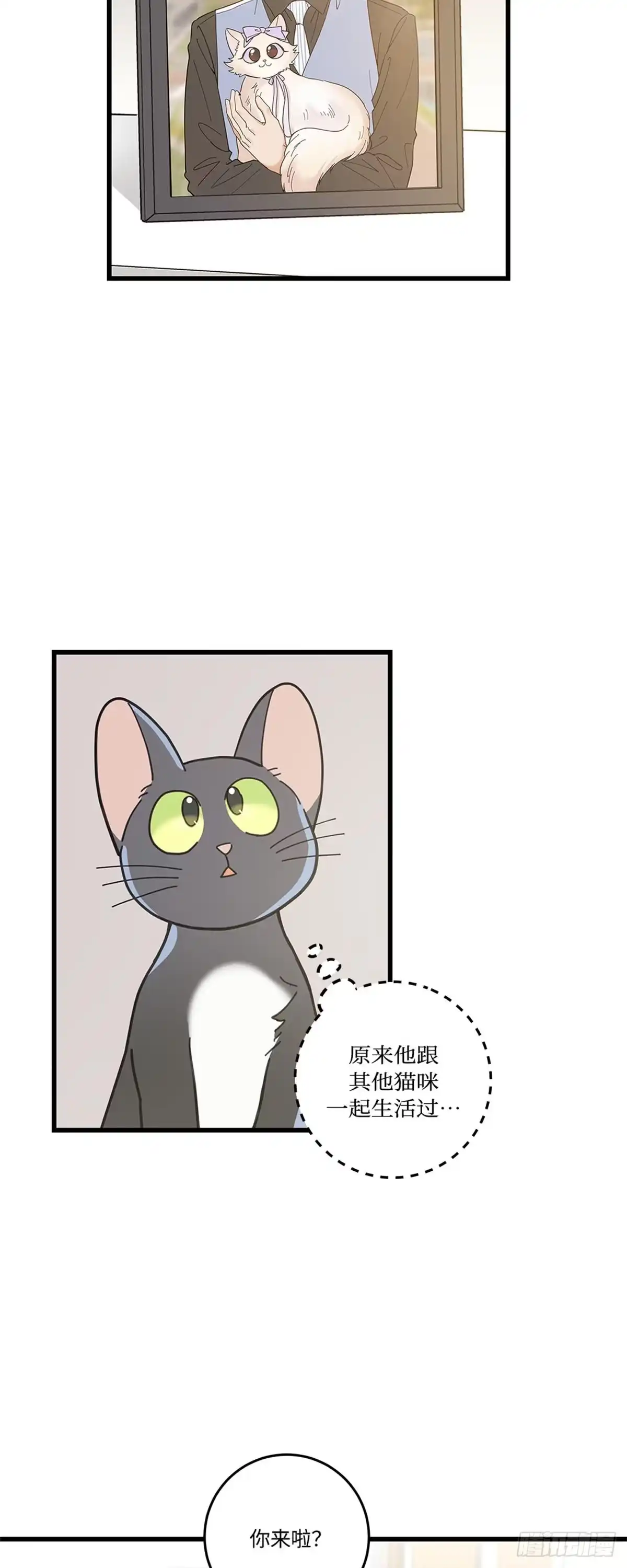 我独一无二的猫咪 第30话 第28页