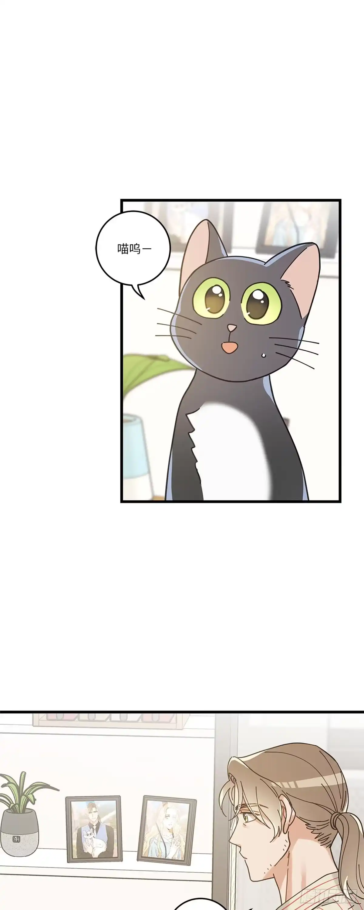 我独一无二的猫咪 第30话 第31页