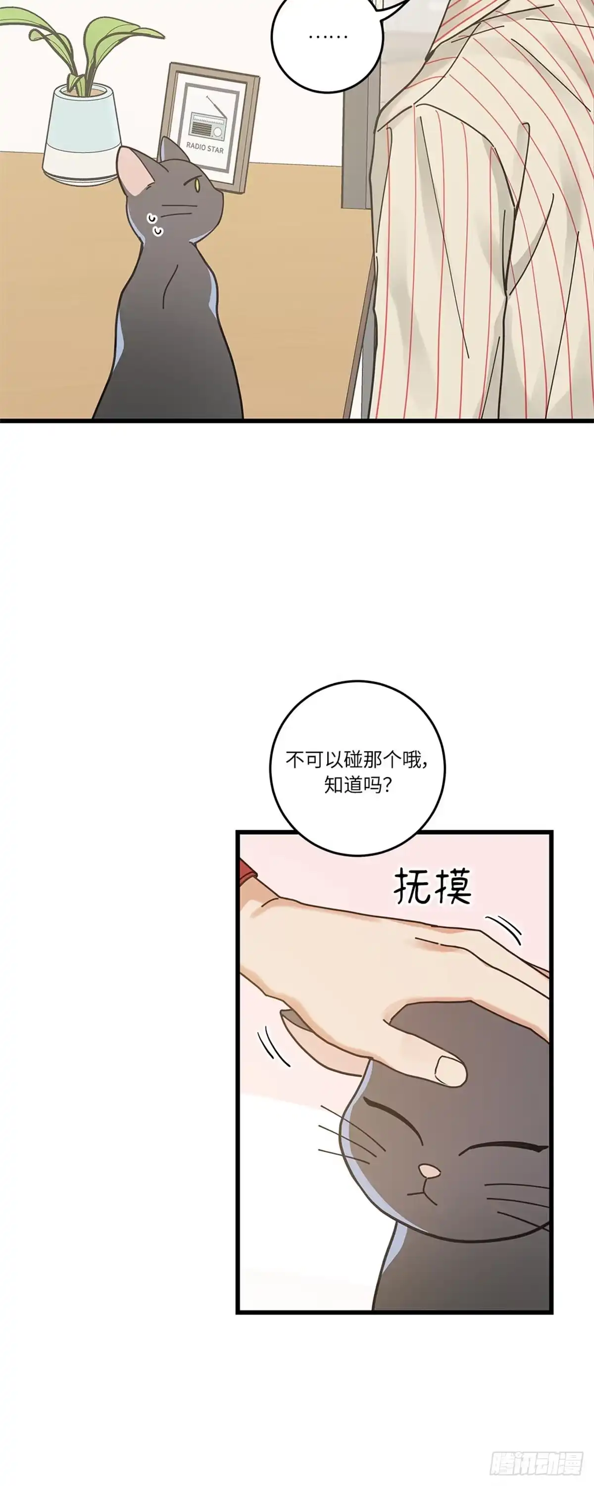 我独一无二的猫咪 第30话 第32页